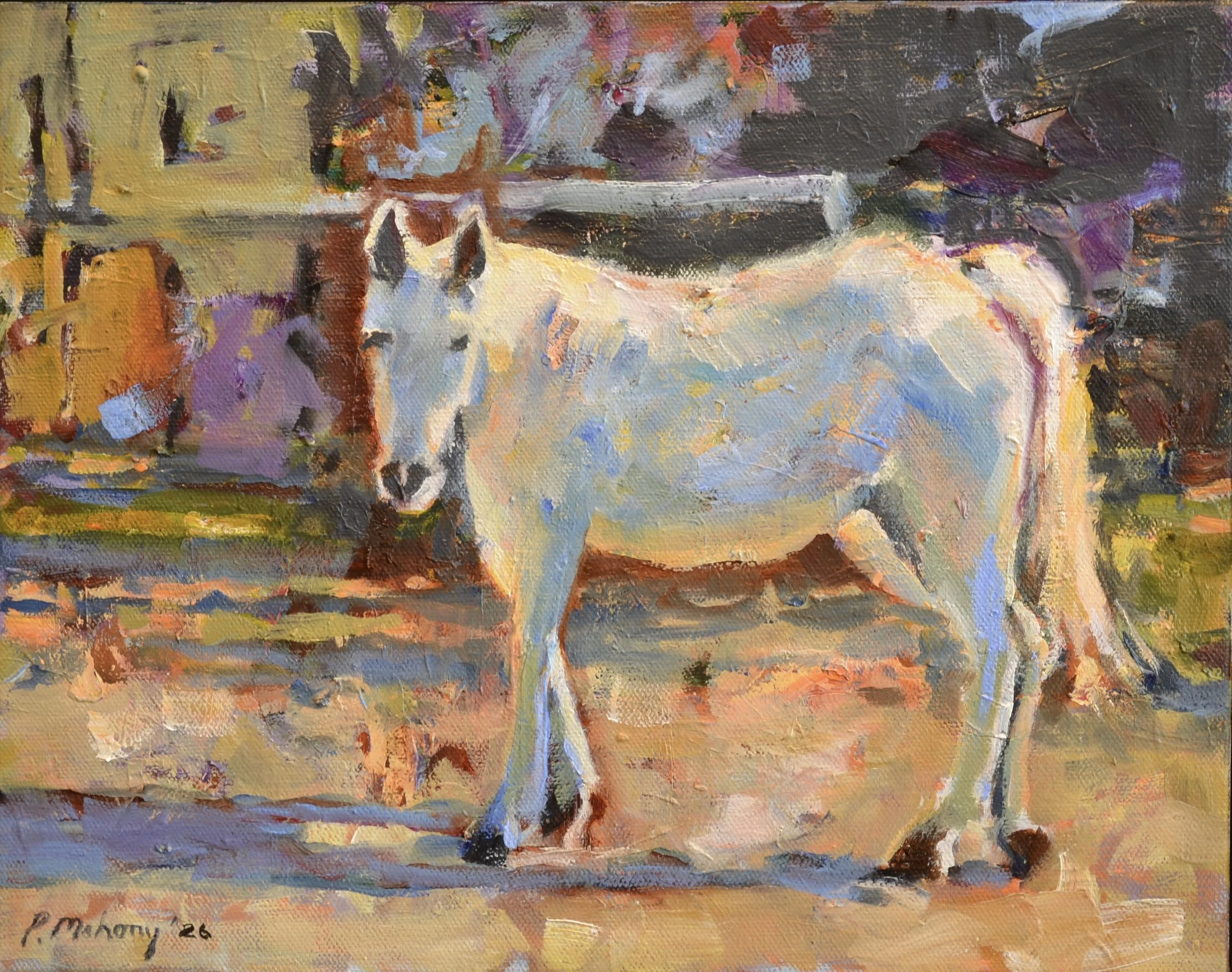 Pat Mahony, Ghost Horse #2. 2026, oil on canvas, 11 x 14 in