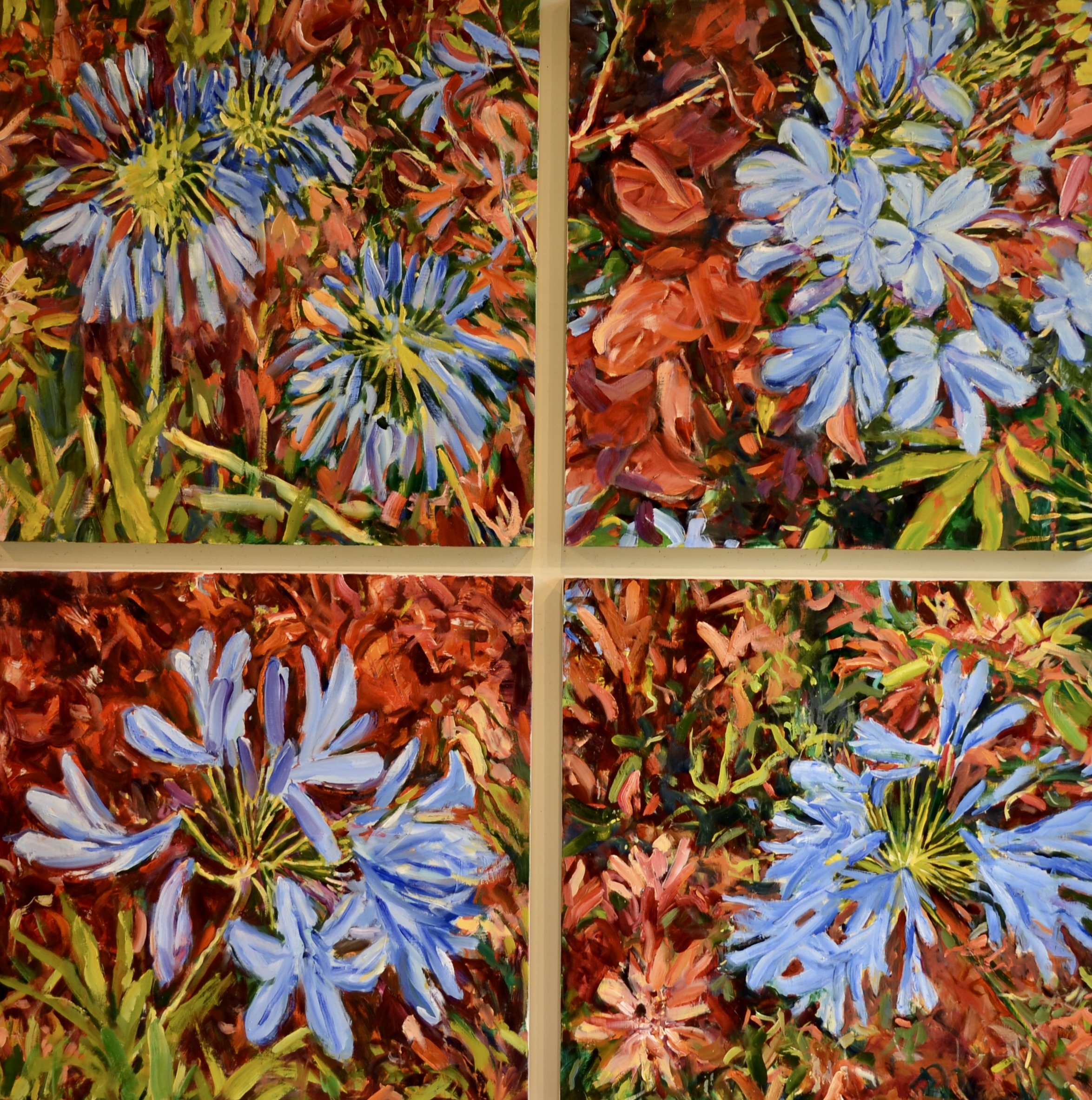 Pat Mahony, Agapanthus at Sensei, 2025, Oil on canvas, 62 x 62 in