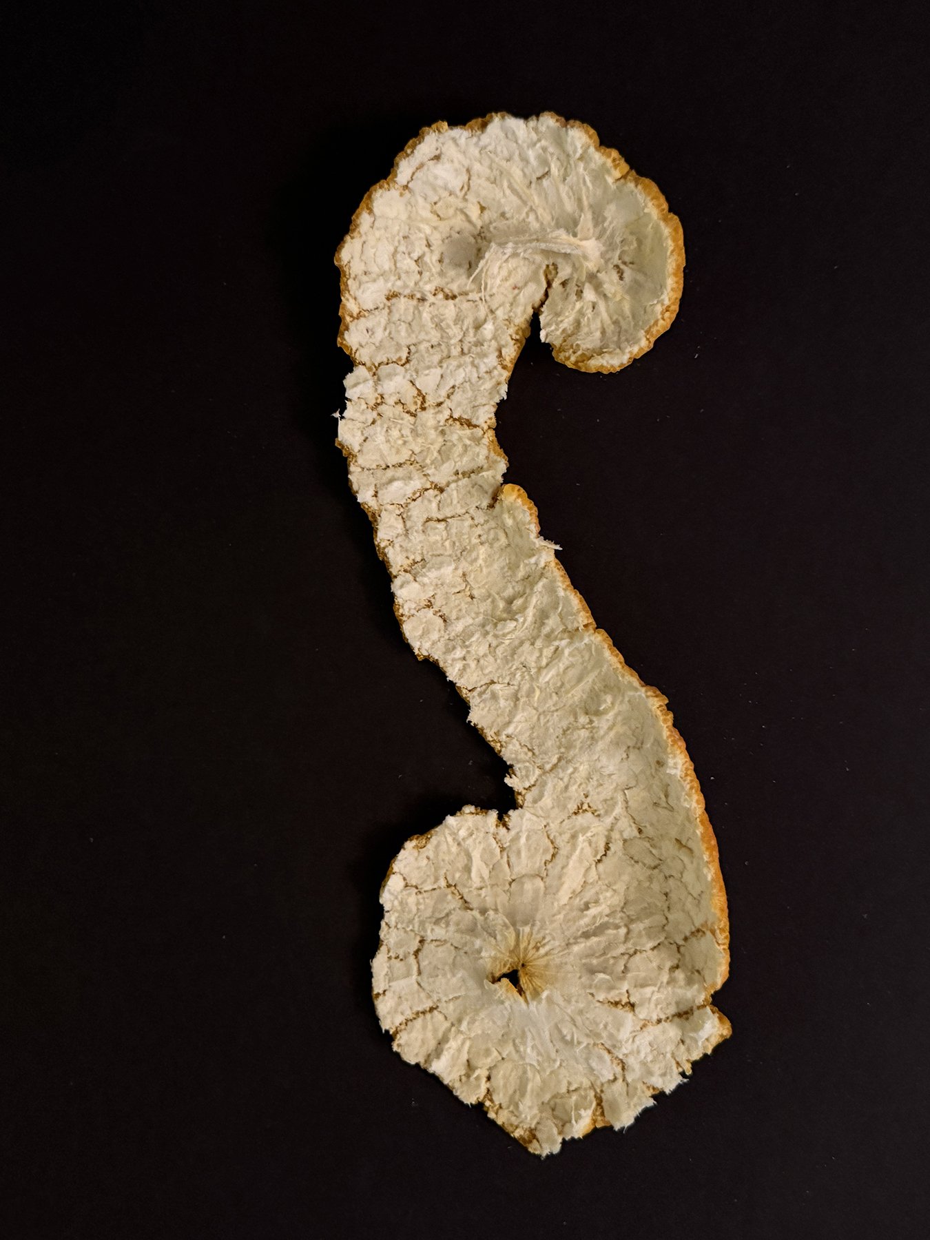 George Tchobanoglous, Sumo Orange Peel, inkjet print, 18 x 12 in