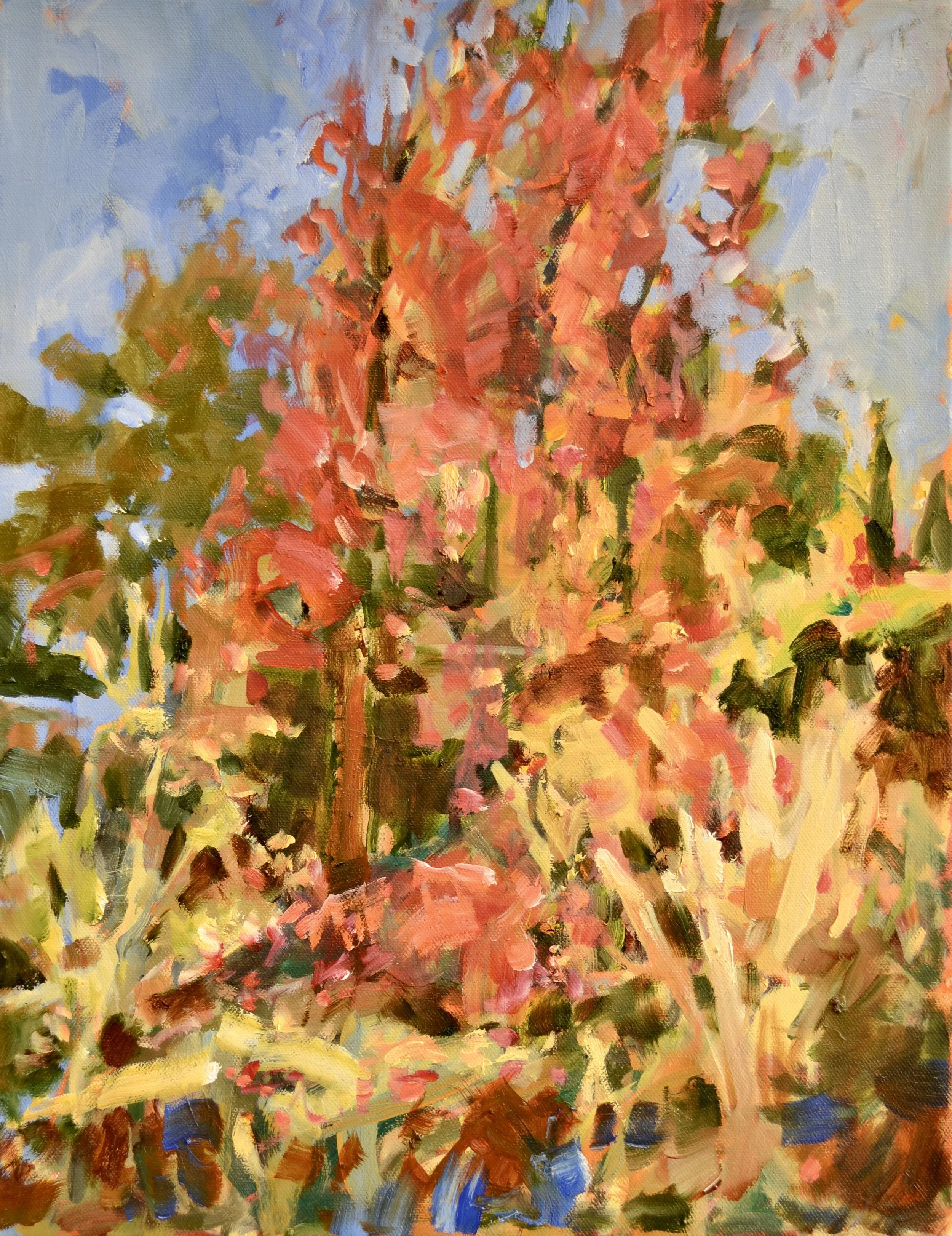 Pat Mahony, Peek at Fall (Study), 2025, Oil on canvas, 18 x 14 in