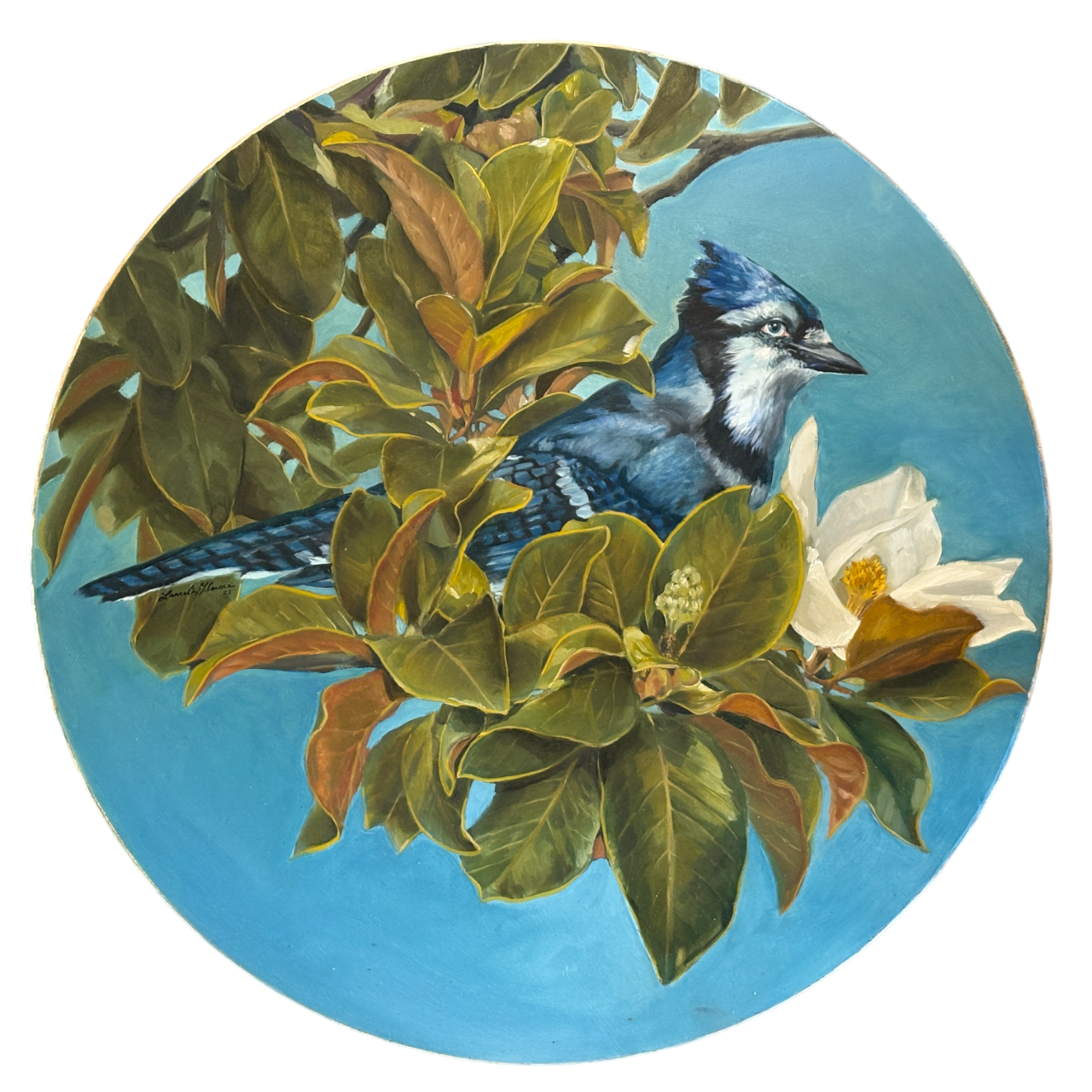Laurelin Gilmore, See Jay, 2026, oil on wood, 24 in diameter