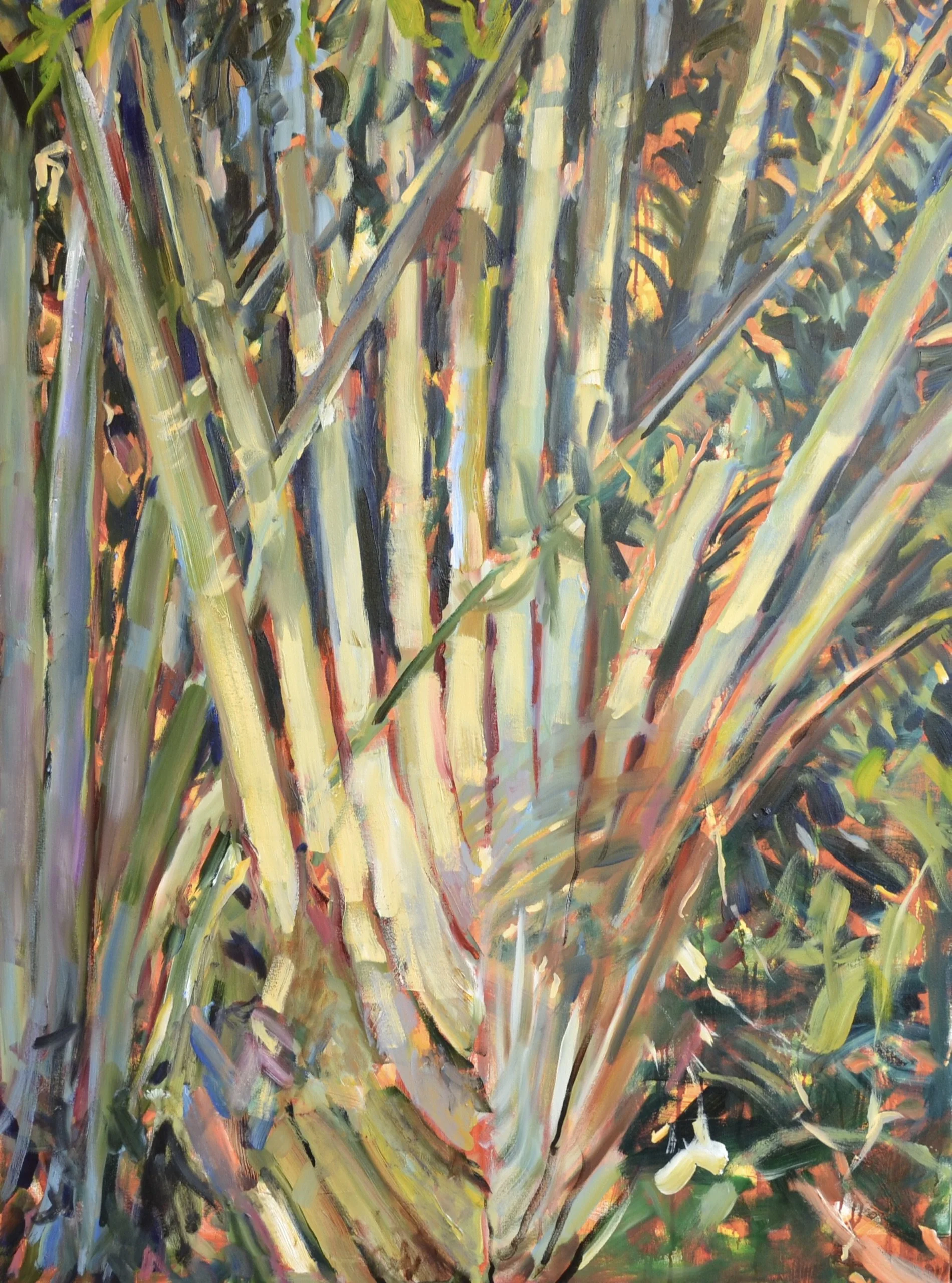 Pat Mahony, View from the Room, 2026, Oil on canvas, 48 x 36 in