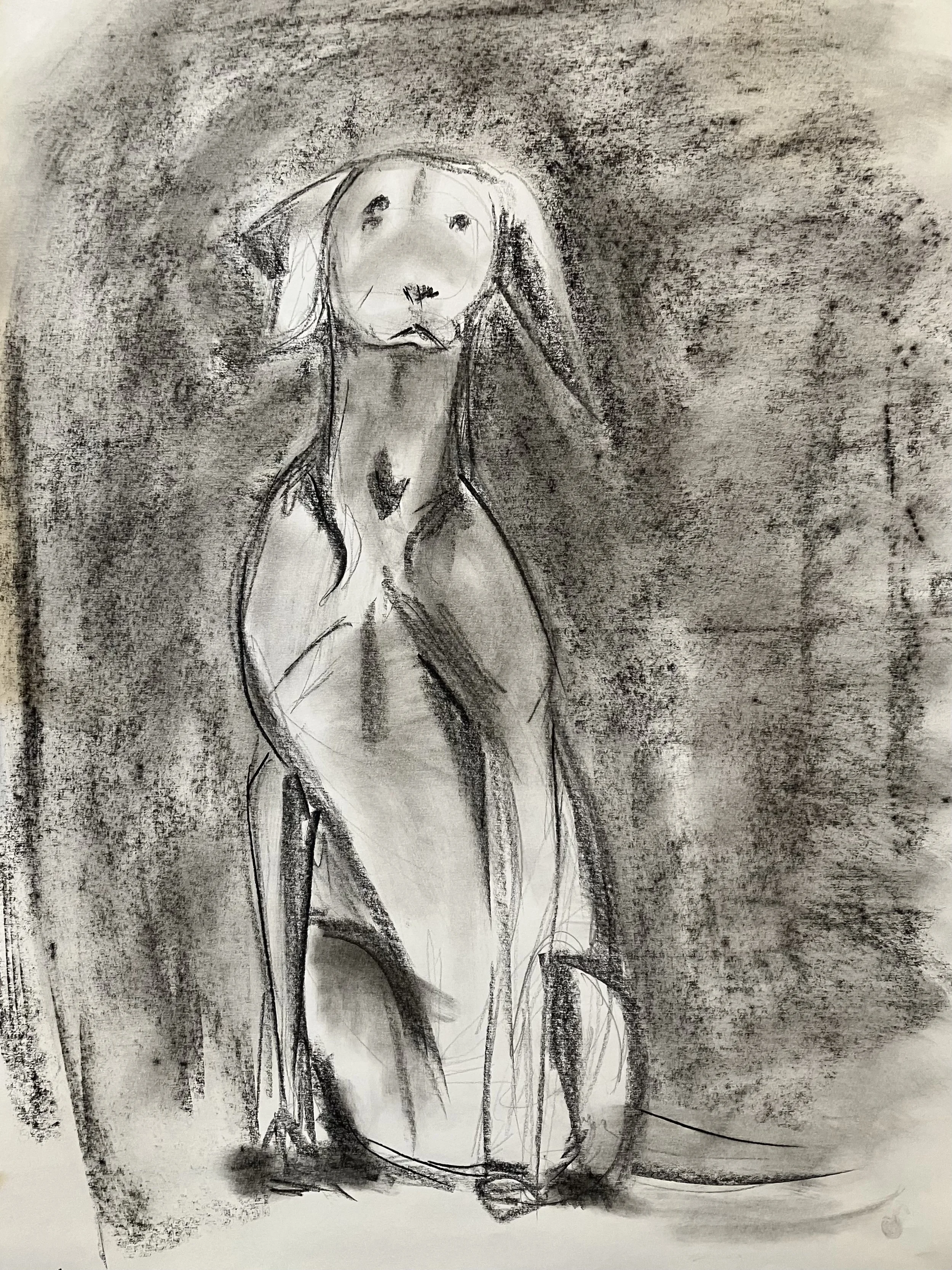 René Martucci, Sitting Dog #1, 2026, charcoal on paper, 27.5 x 21.5 in