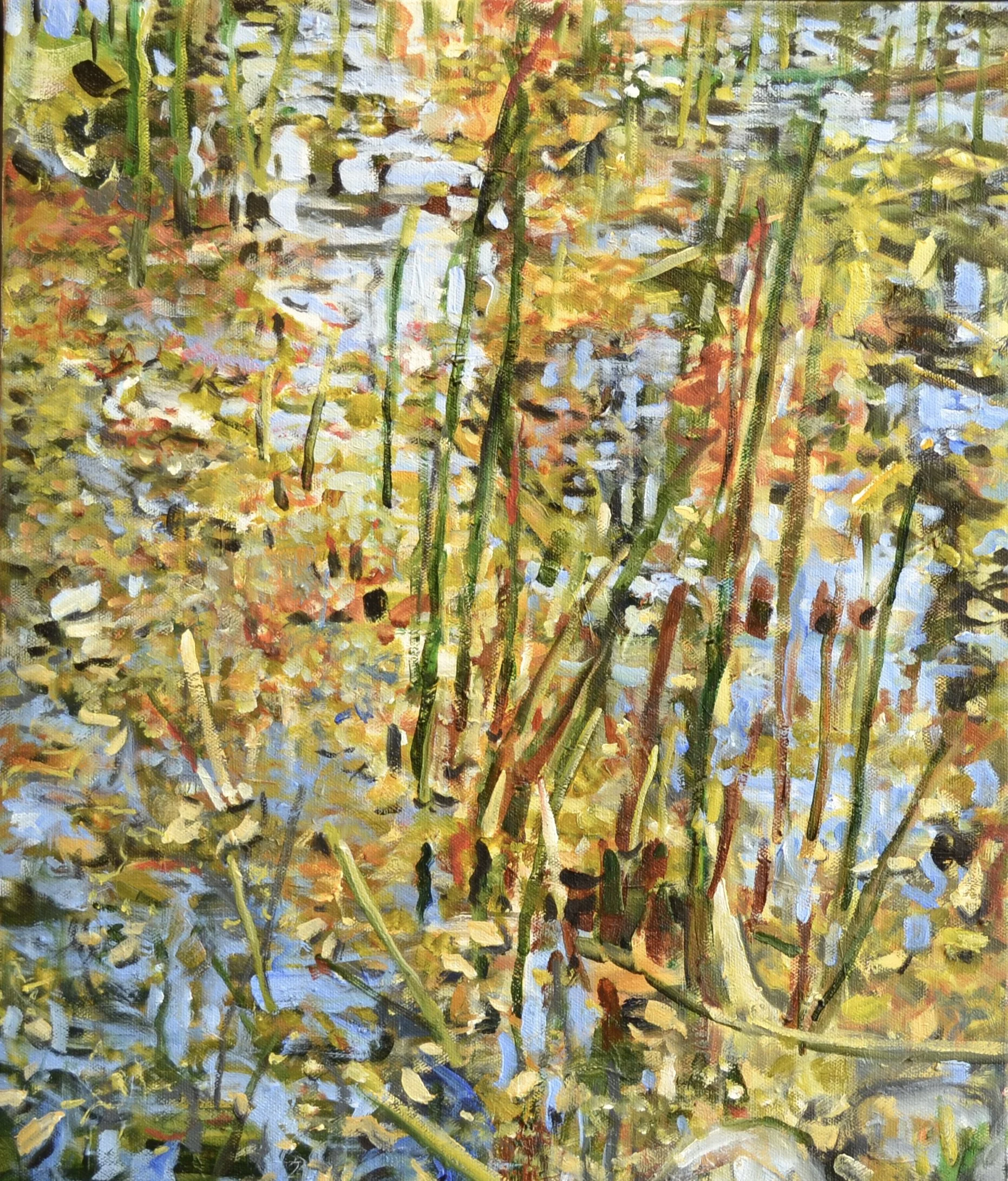 Pat Mahony, Reeds in the Pond, 2026, Oil on canvas, 20 x 16 in