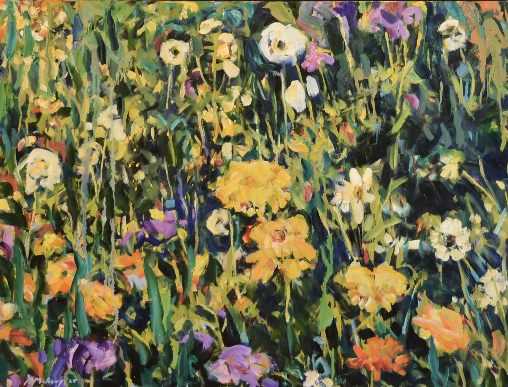 Pat Mahony, Field of Flowers, 2025, Oil on canvas, 30 x 40 in