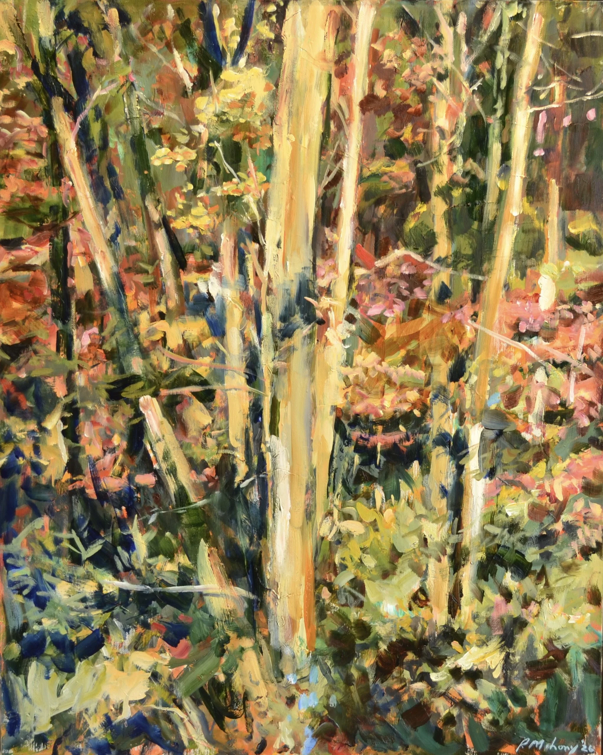 Pat Mahony, Secret Forest, 2026, Oil on canvas, 30 x 24 in
