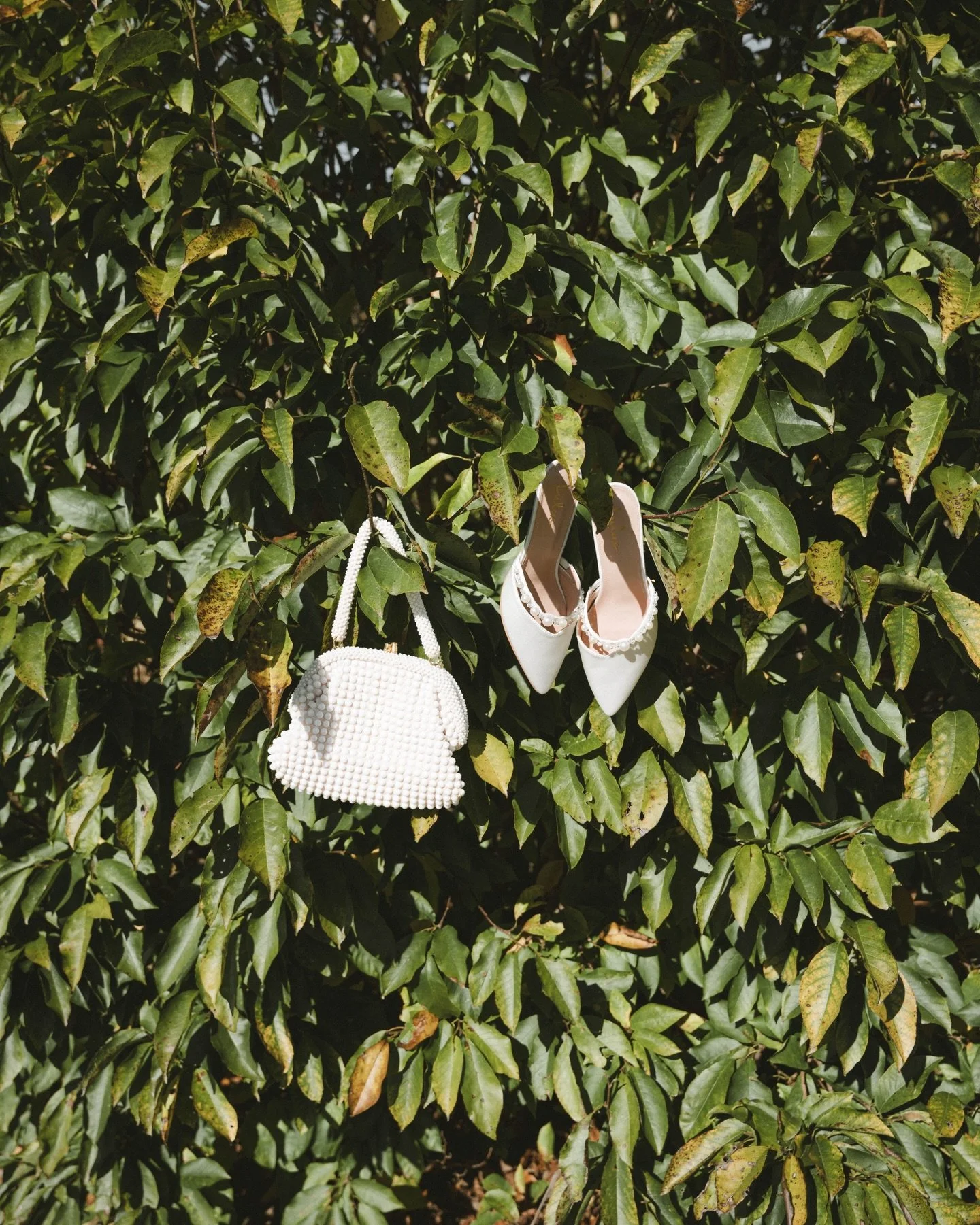 just dreaming and remembering this sweet november day with grace + nick!!

such a fun day shooting for @k.j.bstudios, I can&rsquo;t wait for this year!