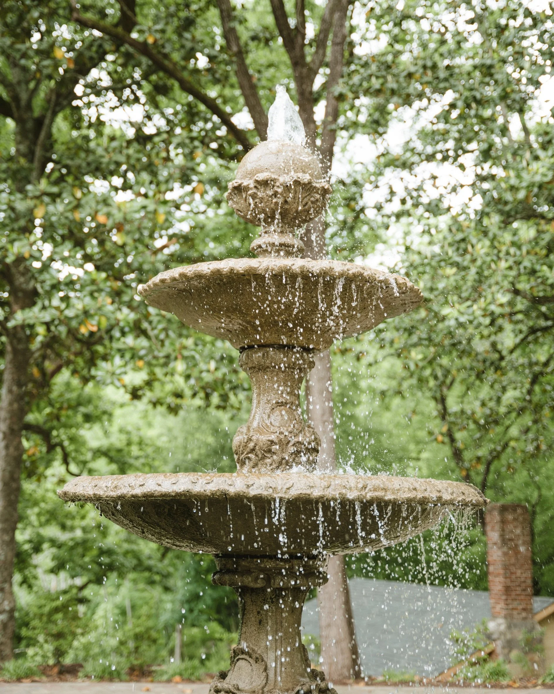 scenes from the joiner wedding at the tate house that I loveeeee