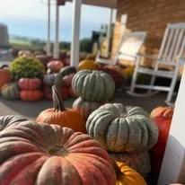 WAY FRUIT FARM HARVEST FEST