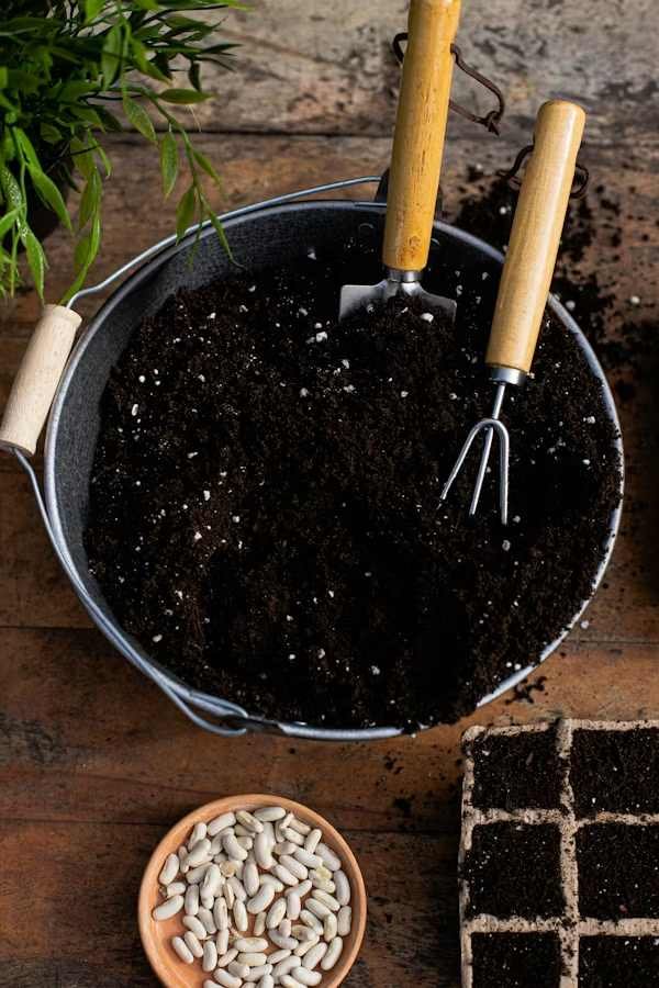 image of soil demonstrating blog topic on - Peat-Free Potting Mixes