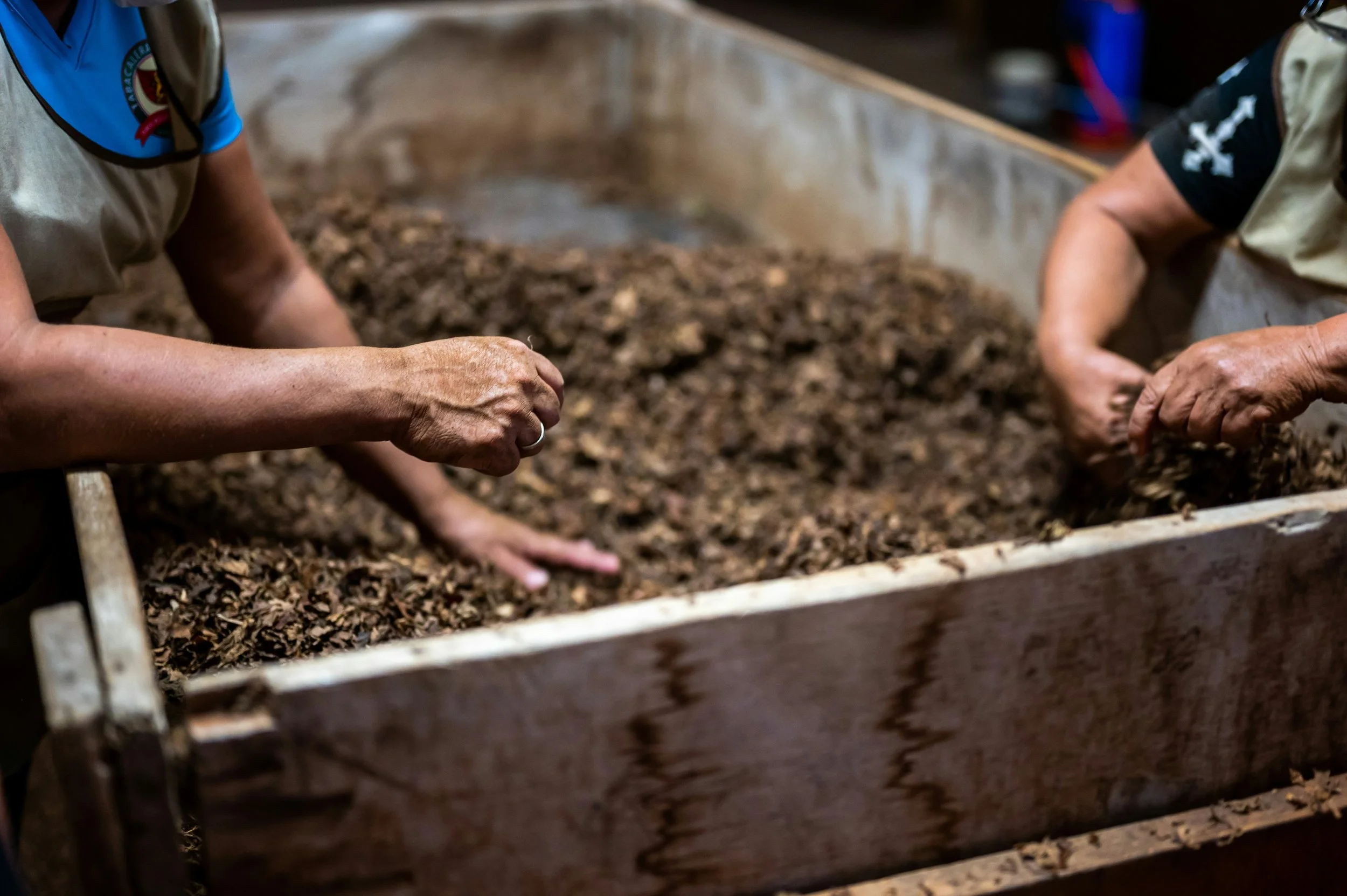 two people working with compost demonstrating blog topic on - How to Use Worm Castings - Turning Kitchen Scraps into High-Octane Soil Biology