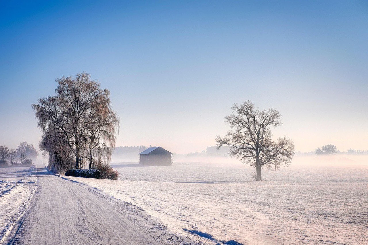 snow covered road and barn demonstrating blog topic on - Reading Your Yard’s Microclimates: Slope Gardening, Frost Pockets, and Windbreaks