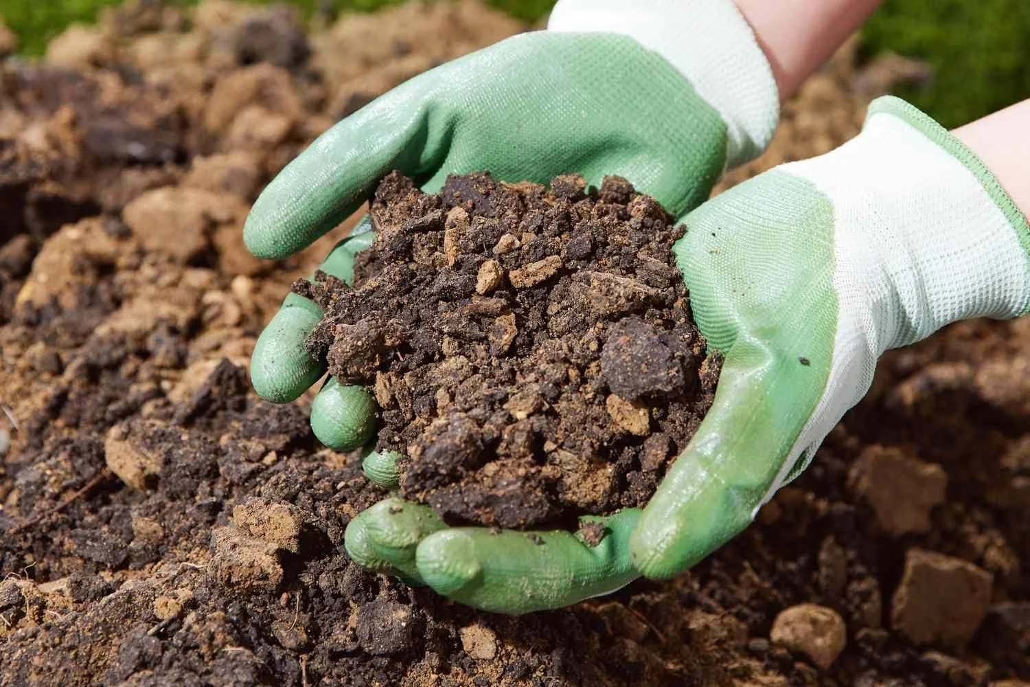gardener holding clay soil in their hands demonstrating blog topic on Soil Compaction in Beds and Paths: Symptoms, Causes, and Low Tech Fixes
