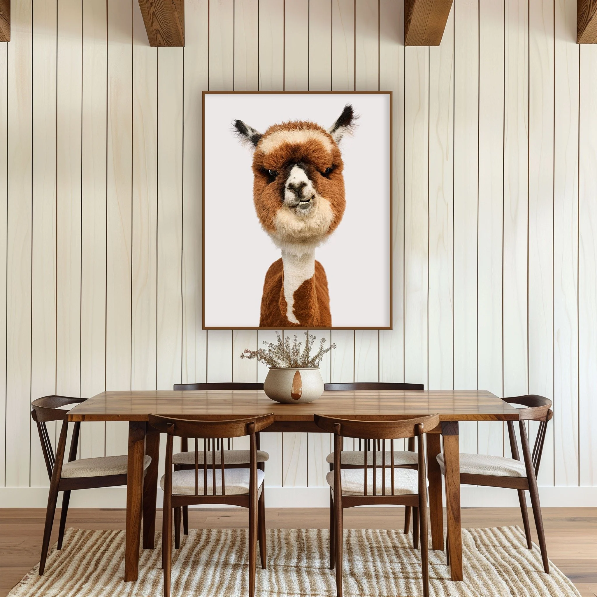 austinphotouser_no_light_0b9902ff-33c6-4c1c-b4ac-1217c751d0cb_francis alpaca.jpg