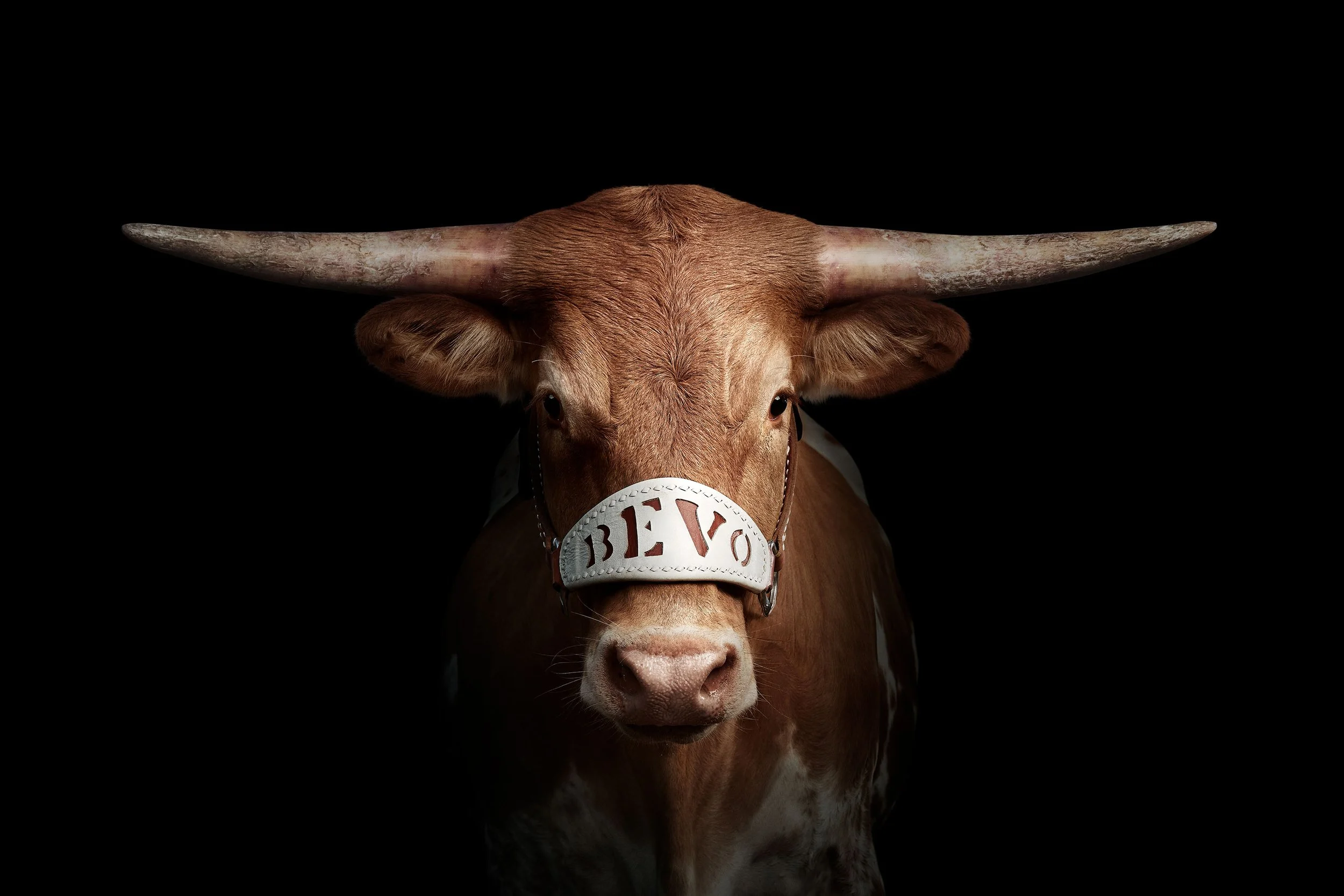 110_Bevo-XV-Black_40x60.jpg