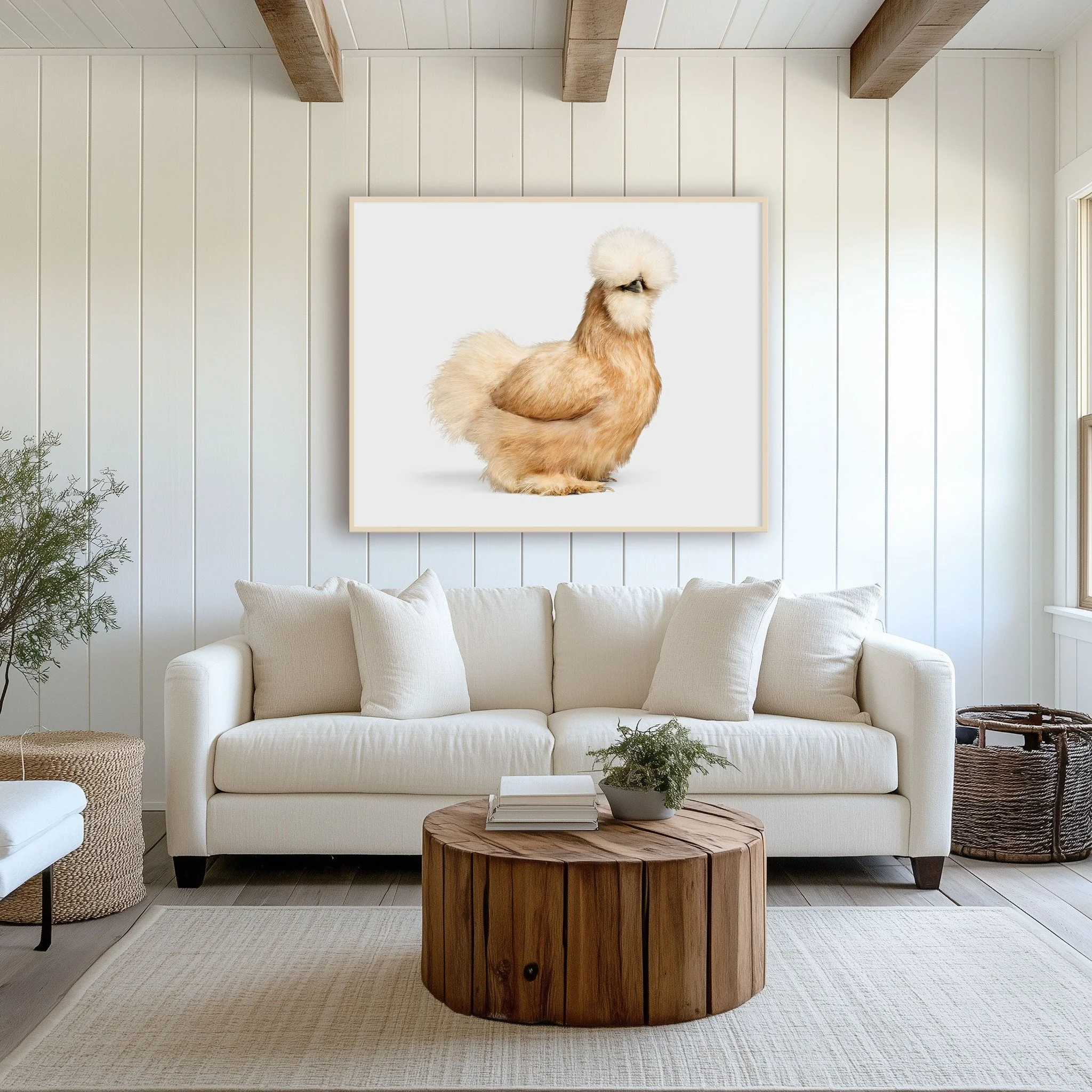 Buff Silkie Hen No. 2 portrait by Randal Ford displayed above a sofa in a bright living room