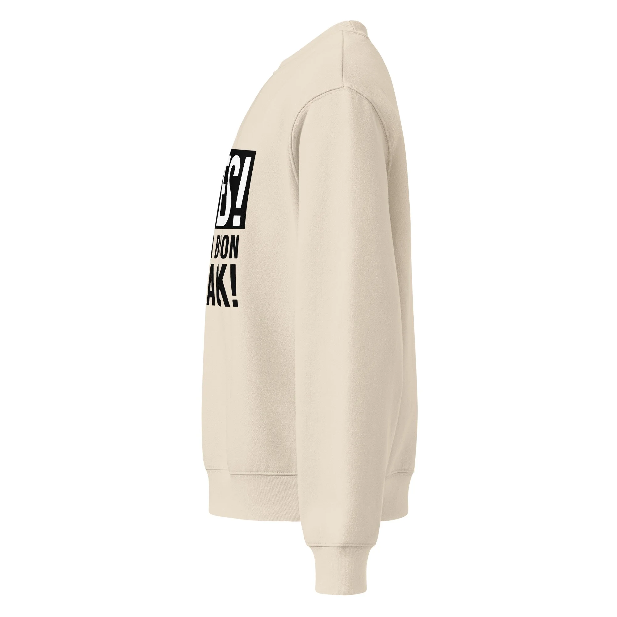 unisex-oversized-heavyweight-sweatshirt-dust-left-68a36f25b0cce.jpg