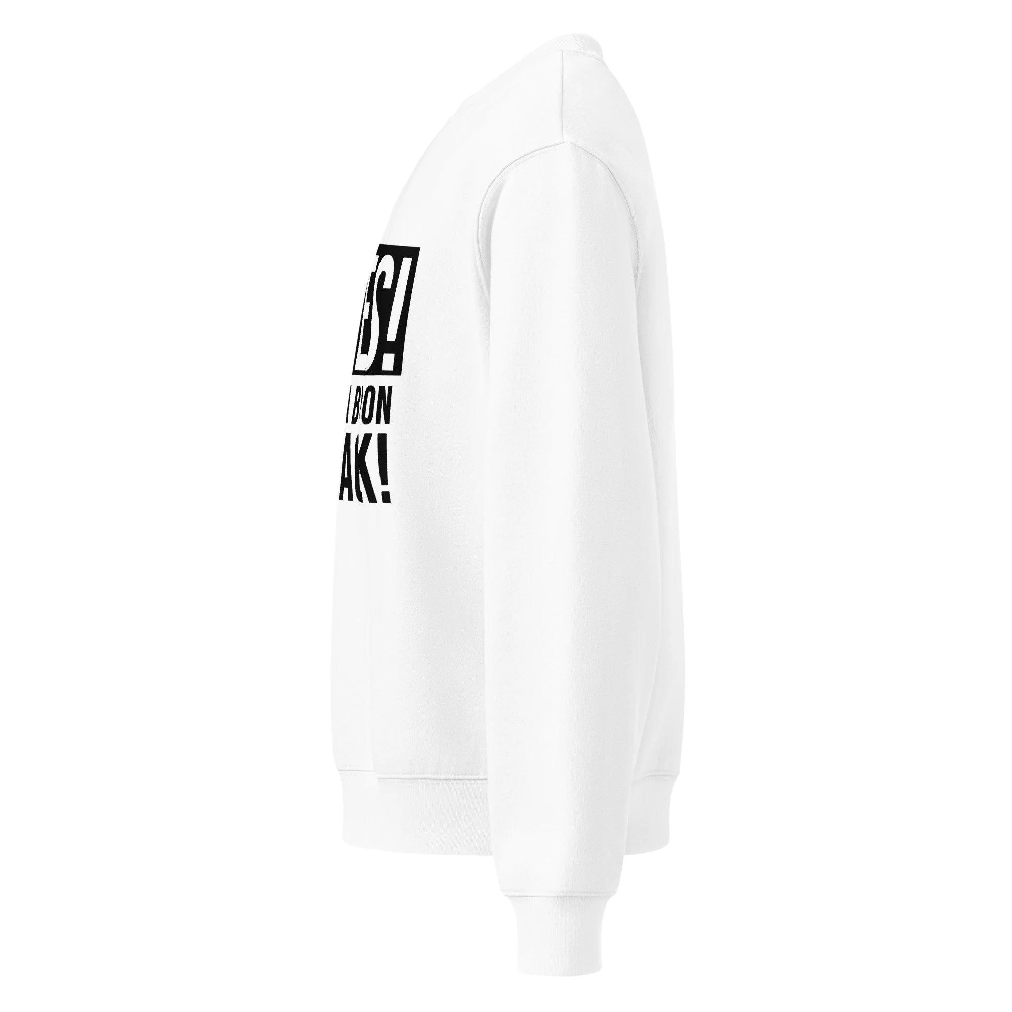 unisex-oversized-heavyweight-sweatshirt-white-left-68a36f25b29c8.jpg
