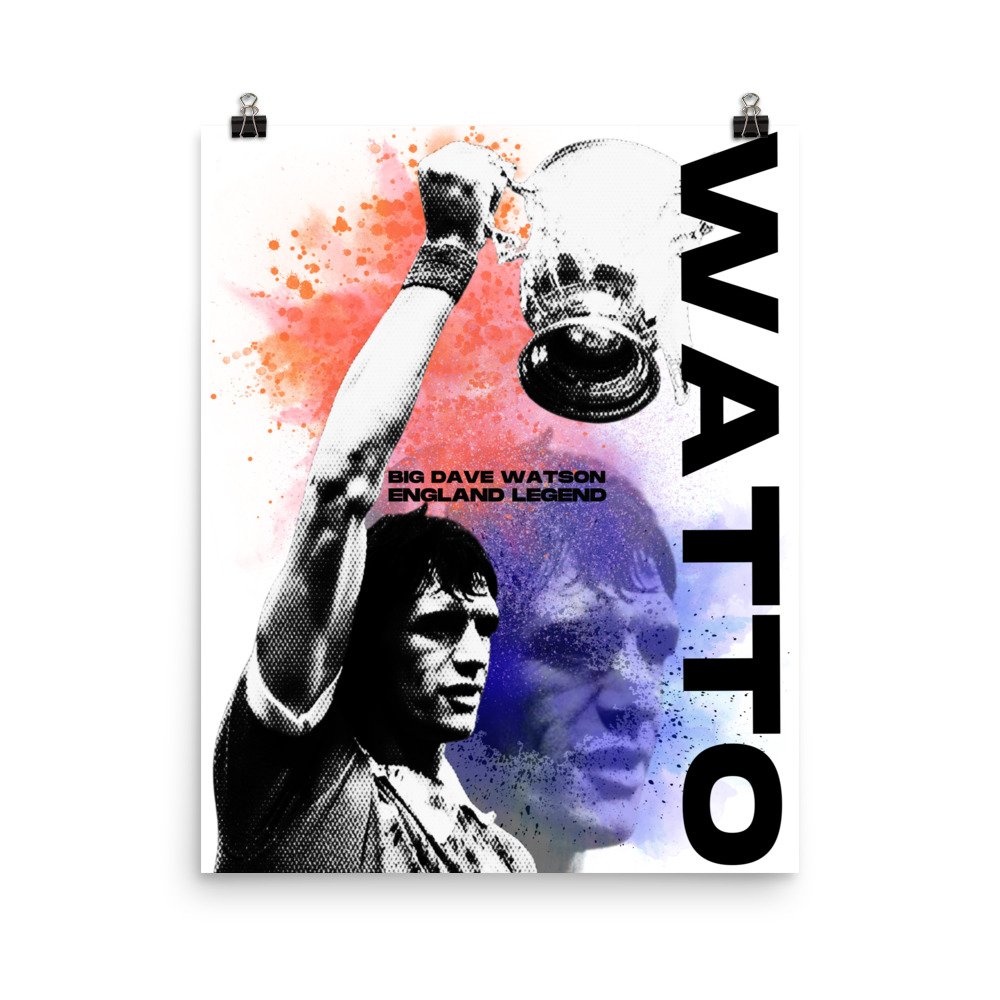 enhanced-matte-paper-poster-(in)-16x20-transparent-6746a088dd3b1.jpg