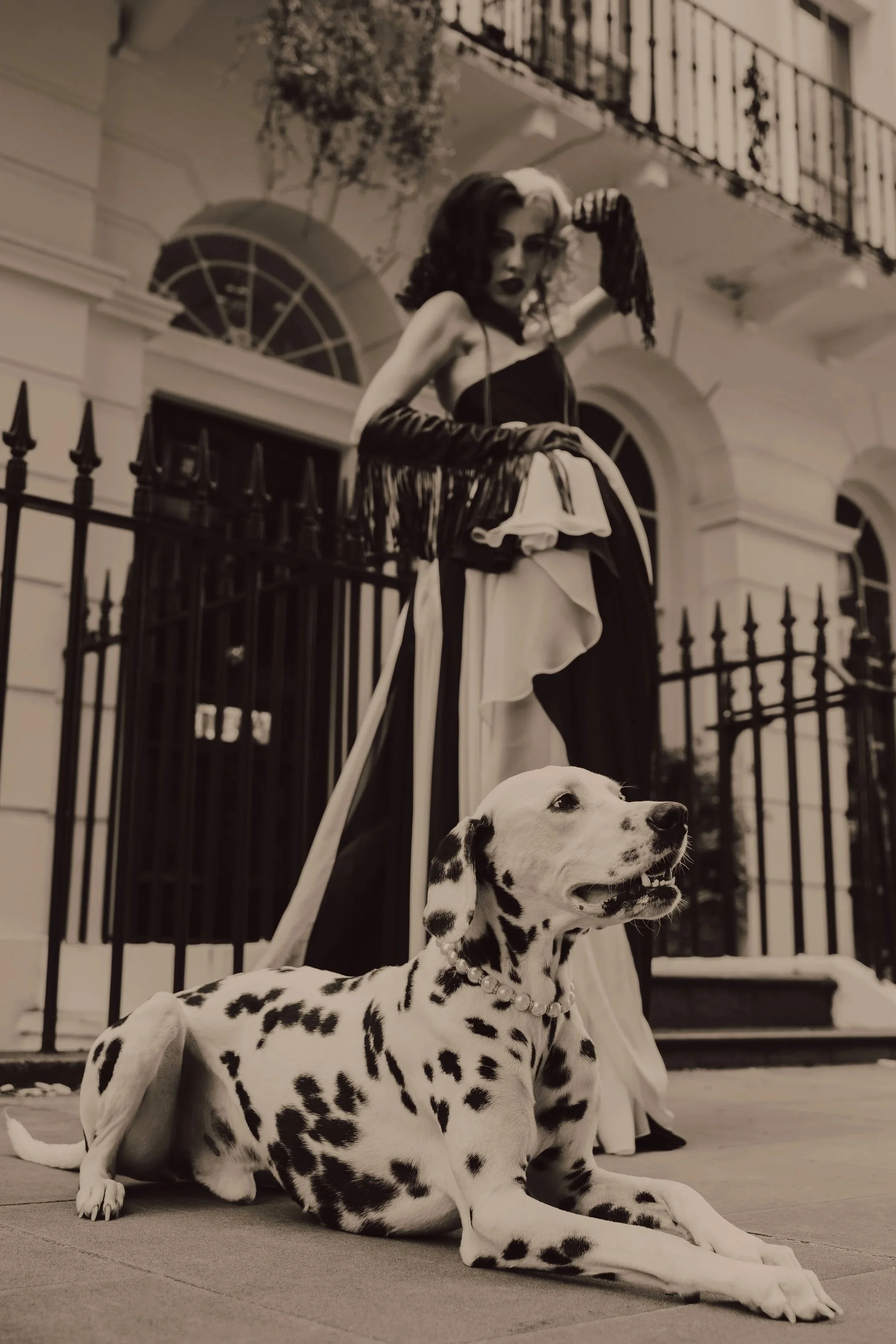Black and white photo of a Dalmatian dog and a woman on a porch. The dog is lying down with a pearl collar, and the woman in the background is posing with her arm raised, dressed in elegant clothing.