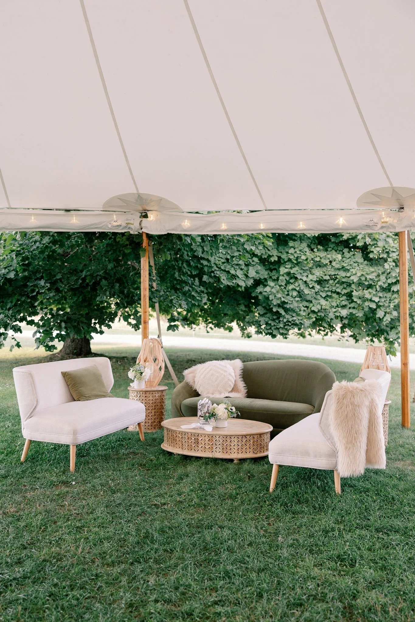 Curved velvet olive green sofa 
QTY 2 Photo by Jenna Brisson
