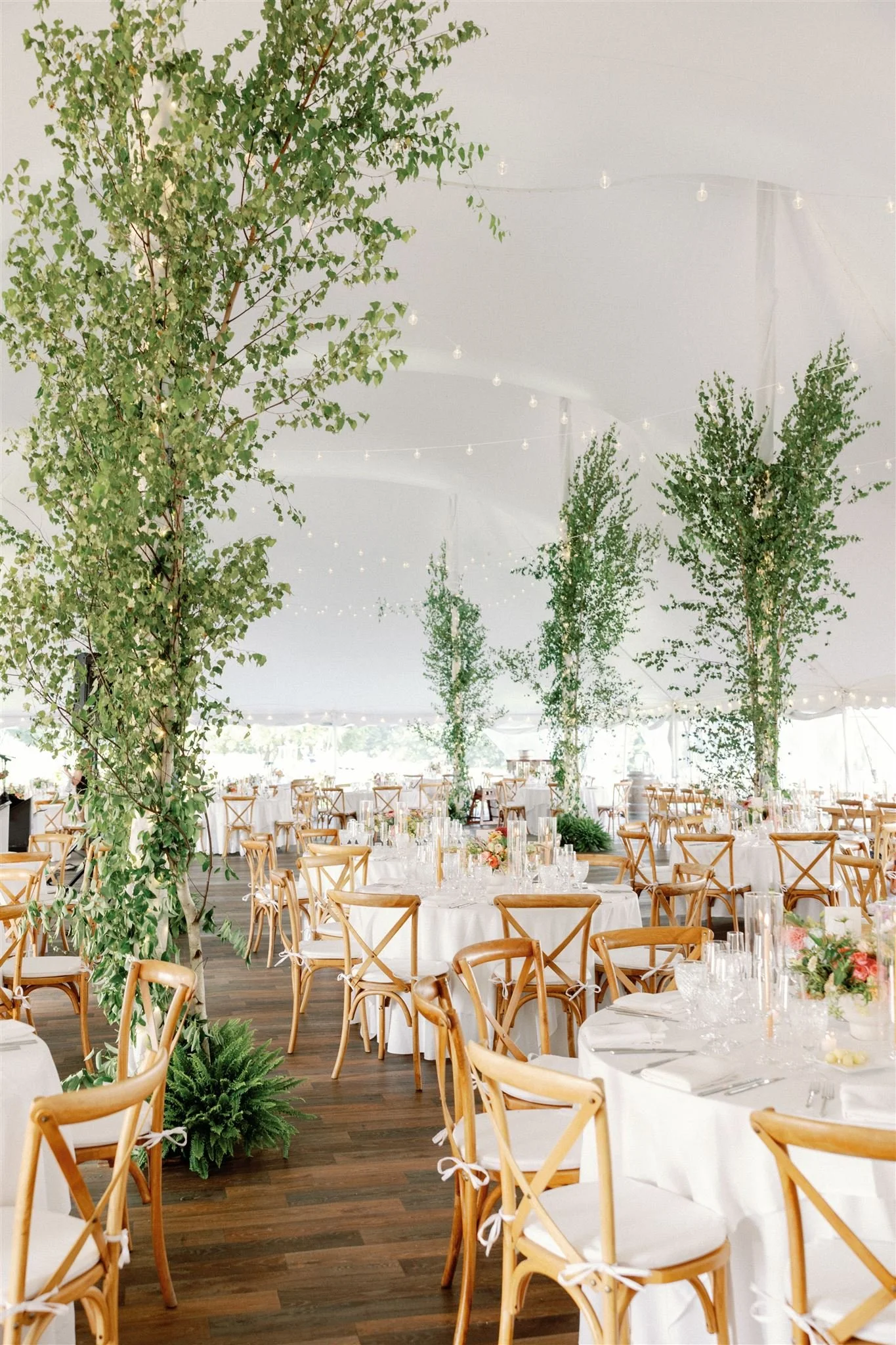 Indoor event space decorated with large trees and string lights, with round tables covered in white tablecloths and wooden chairs, set for a celebration or reception.