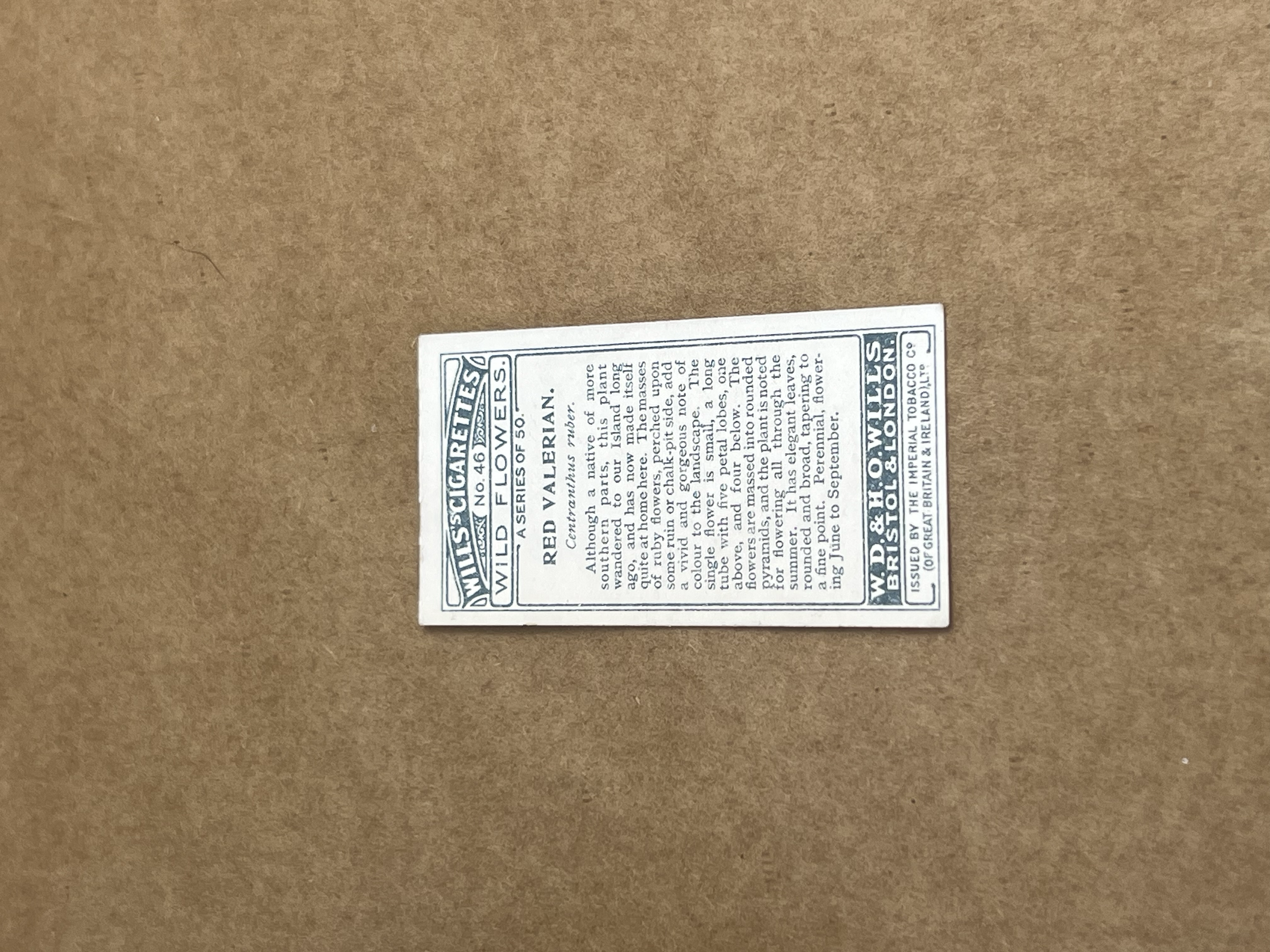 Red Valerian Will's Cigarettes 1919-1934 back.png