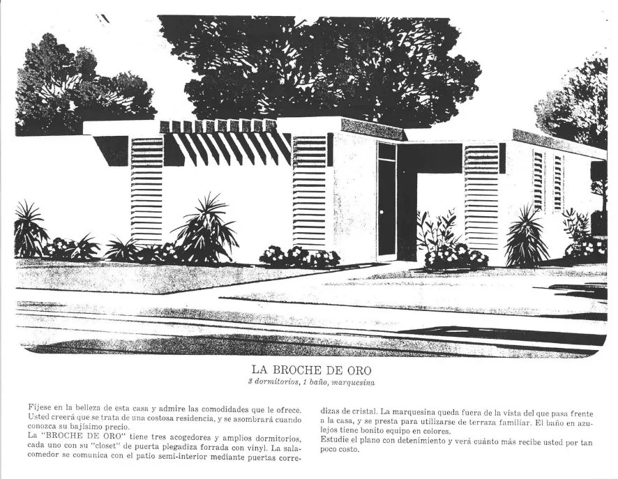 Black and white drawing of a modern house with plants and trees in front.
