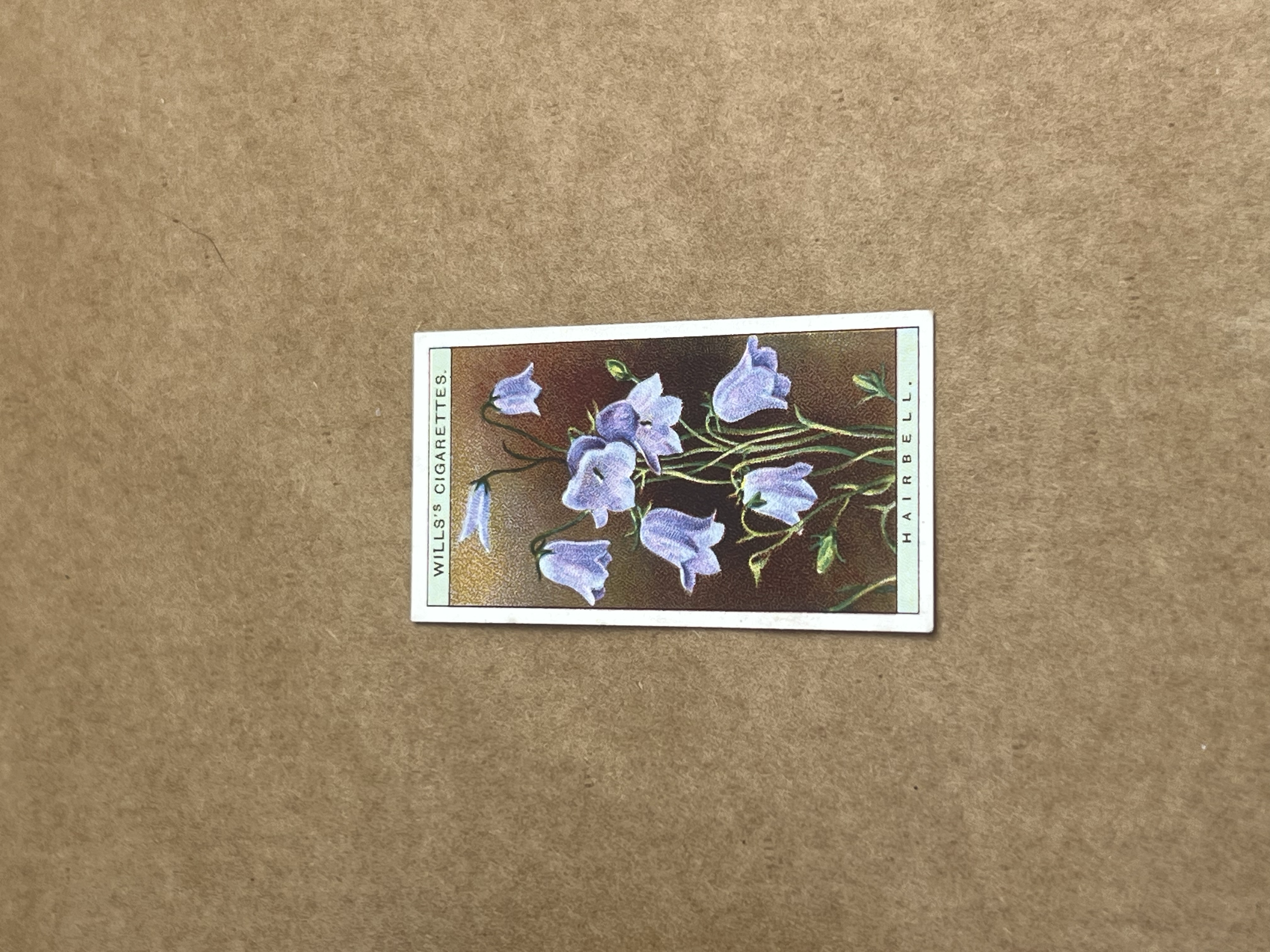 Hairbell Wills Cigarette Cards 1919-1934 aprox Front.png