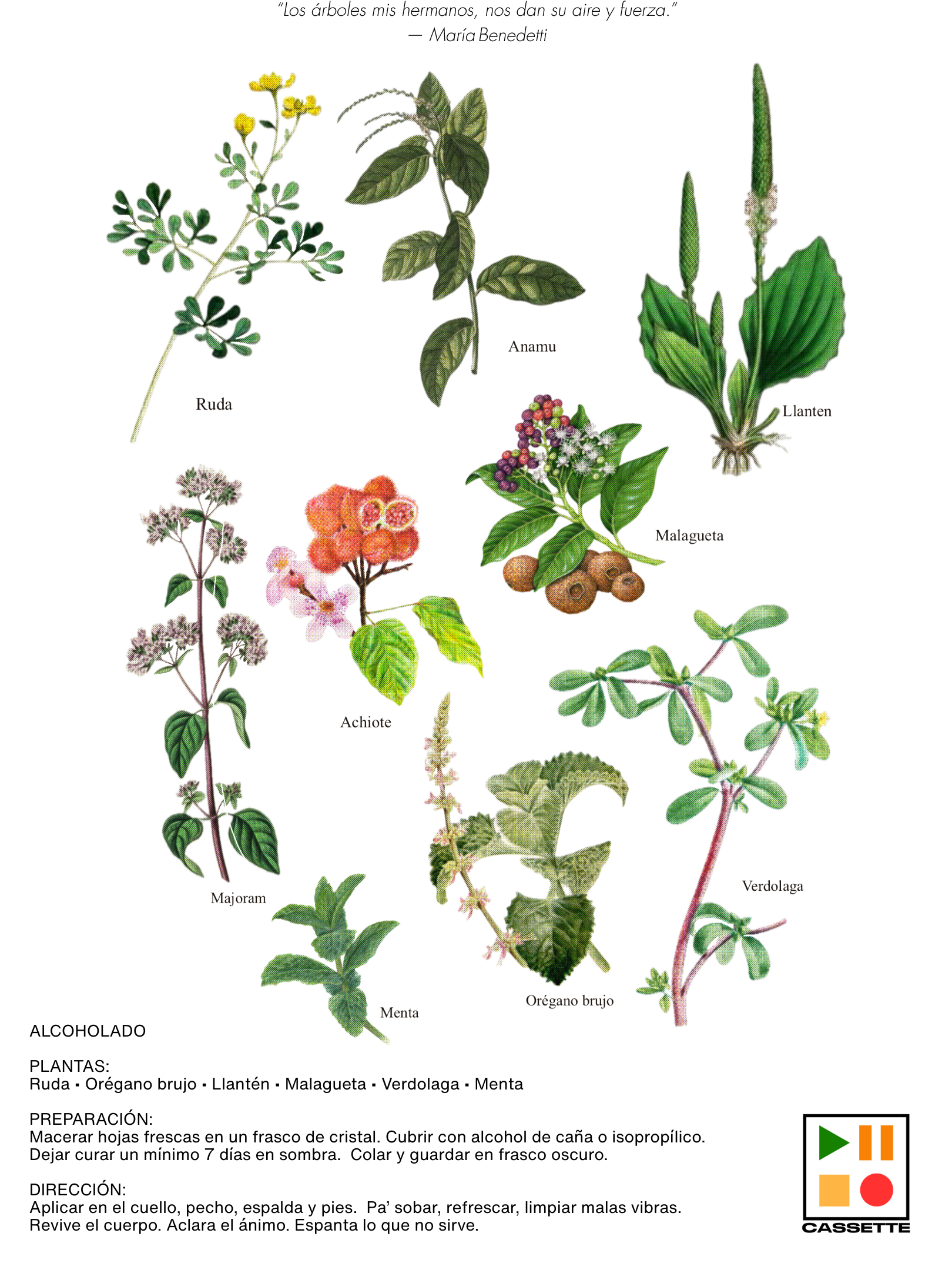 Untitled_Artwork 38.png