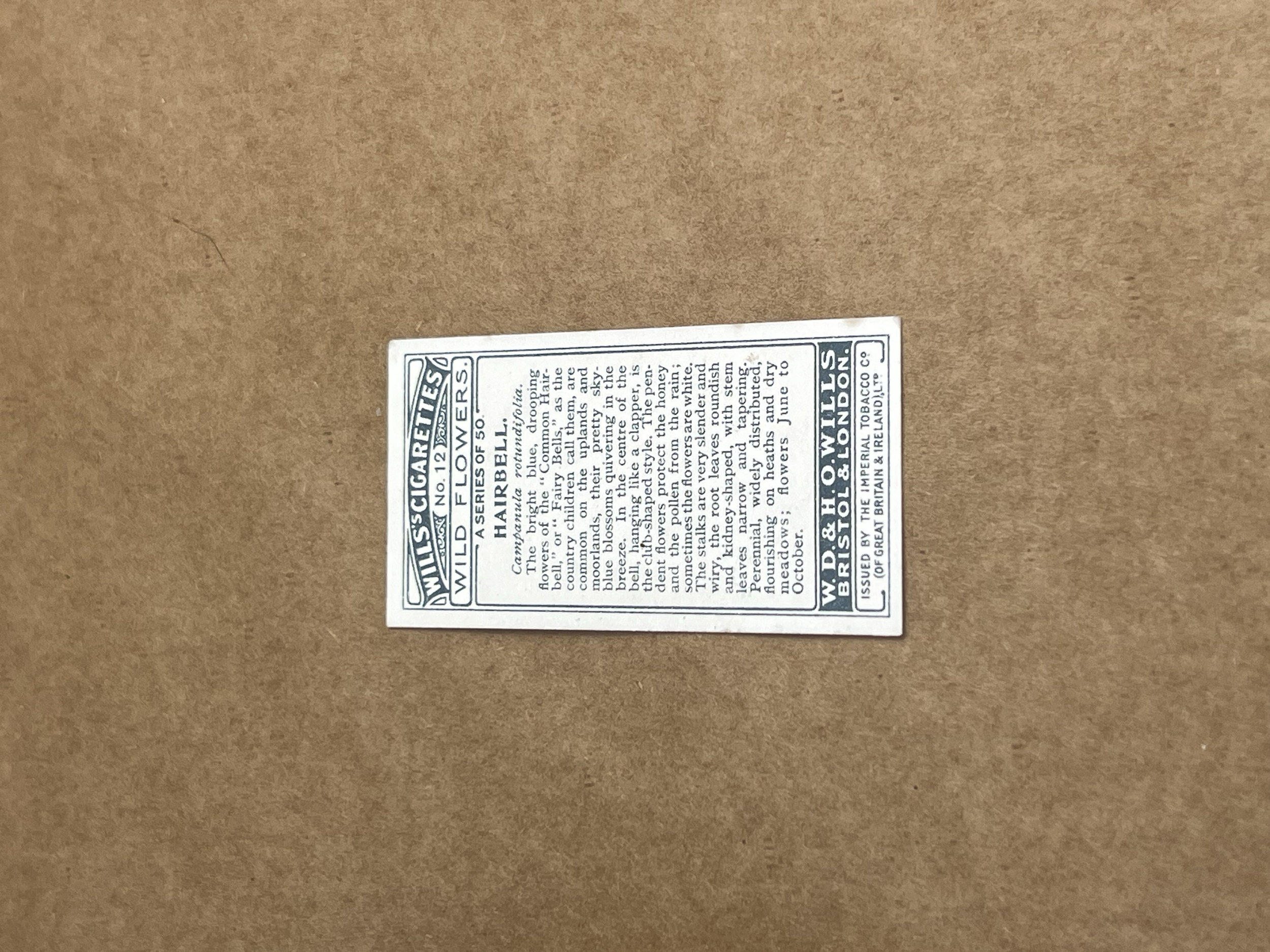 Hairbell Wills Cigarette Cards 1919-1934 aprox Back.png