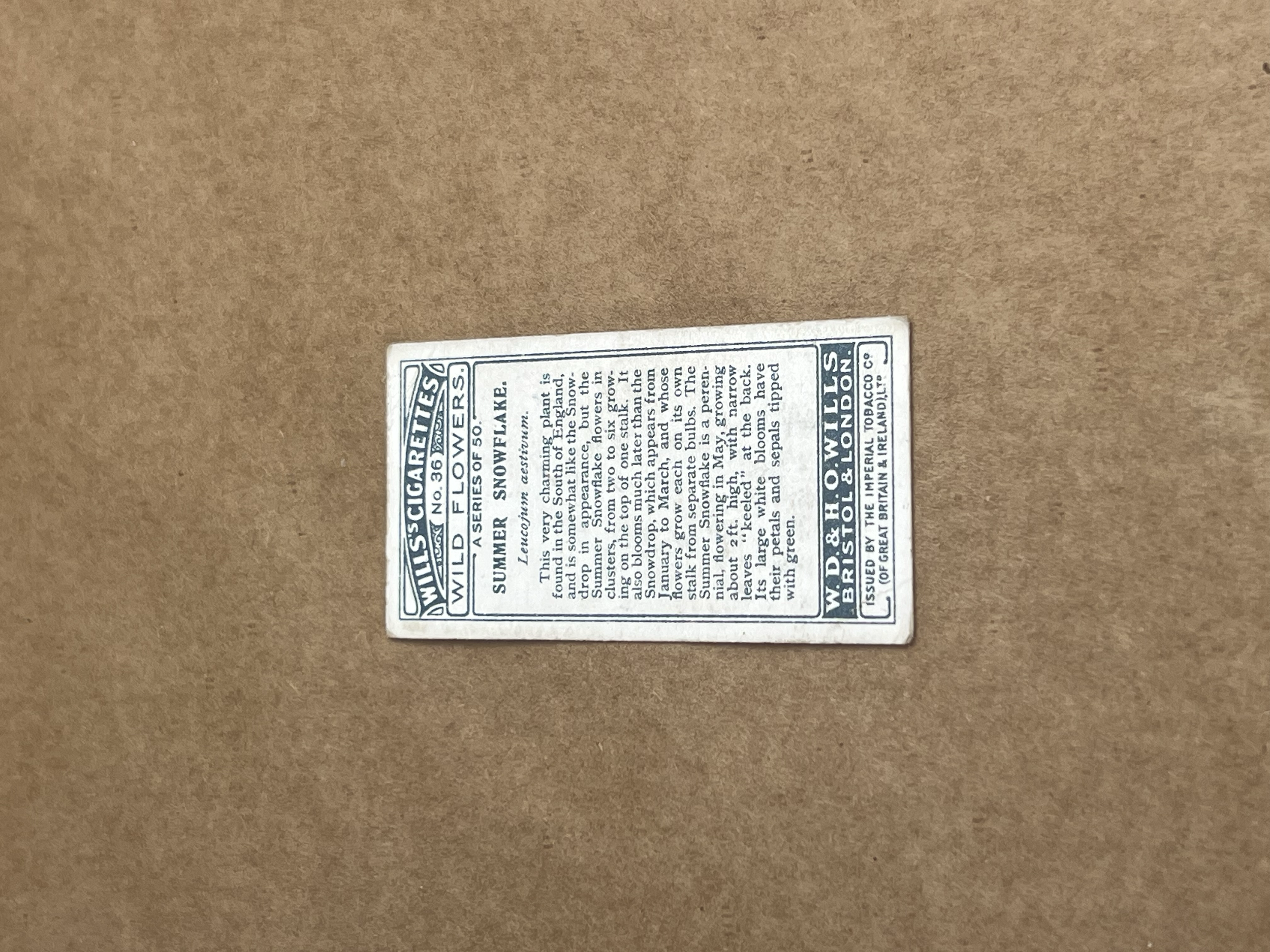 Summer Snowflake Will's Cigarettes 1919-1934 Back.png