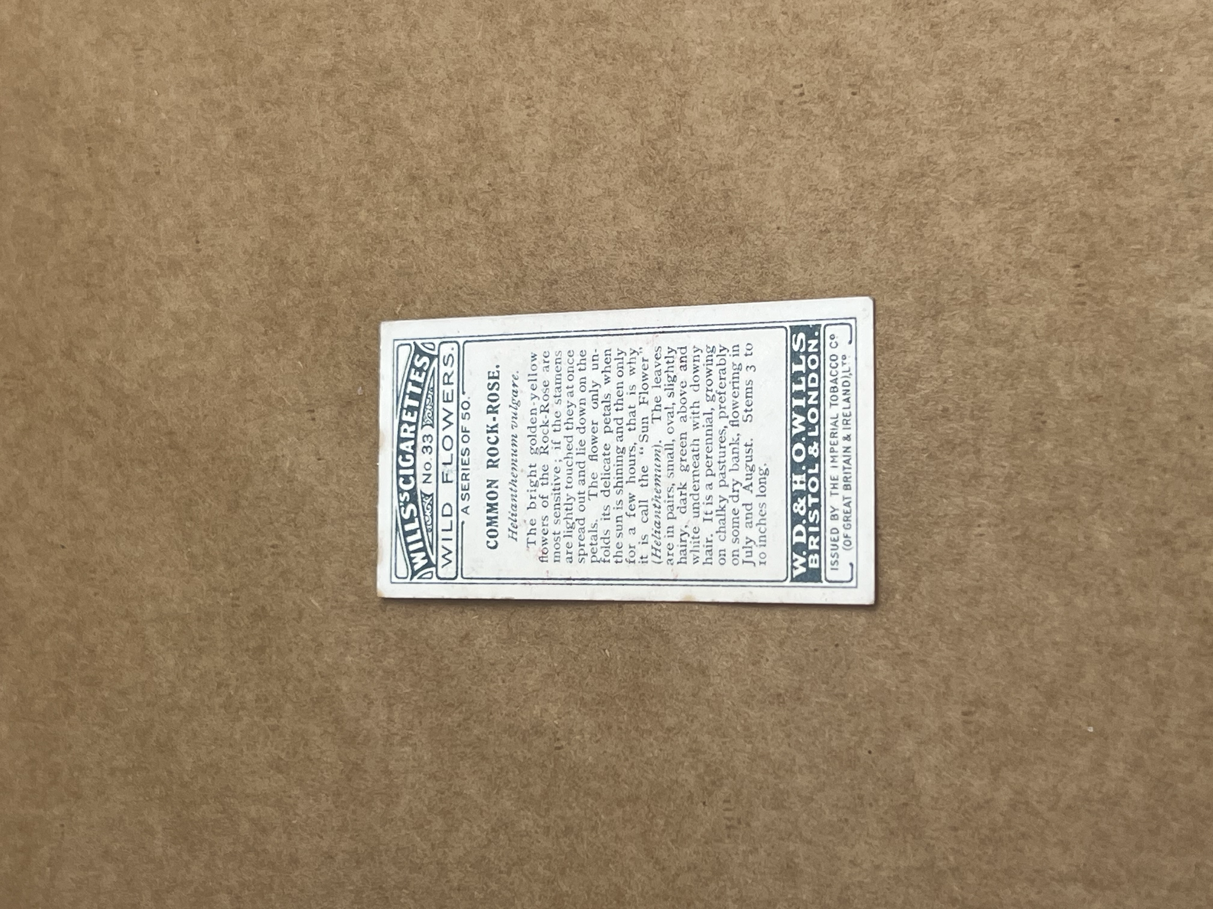 Common Rock Rose Wills Cigarrettes 1918-1939 back.png