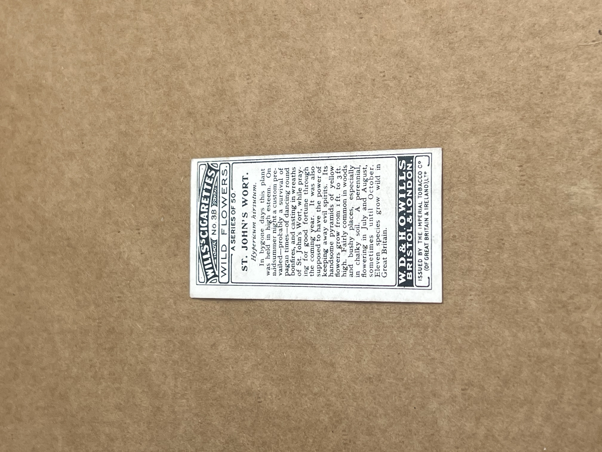 St John's Wort Will's Cigarettes 1919-1934 Back.png