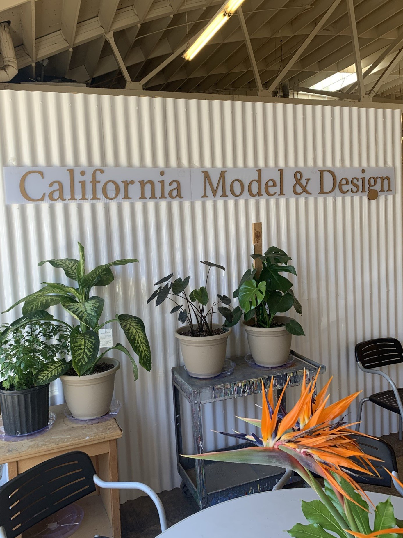 CMD shop pic rotated.JPEG