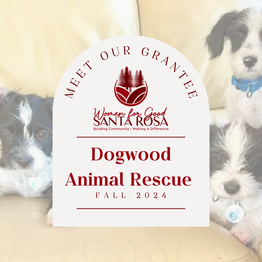 Providing Hope for Animals: Dogwood Animal Rescue Project