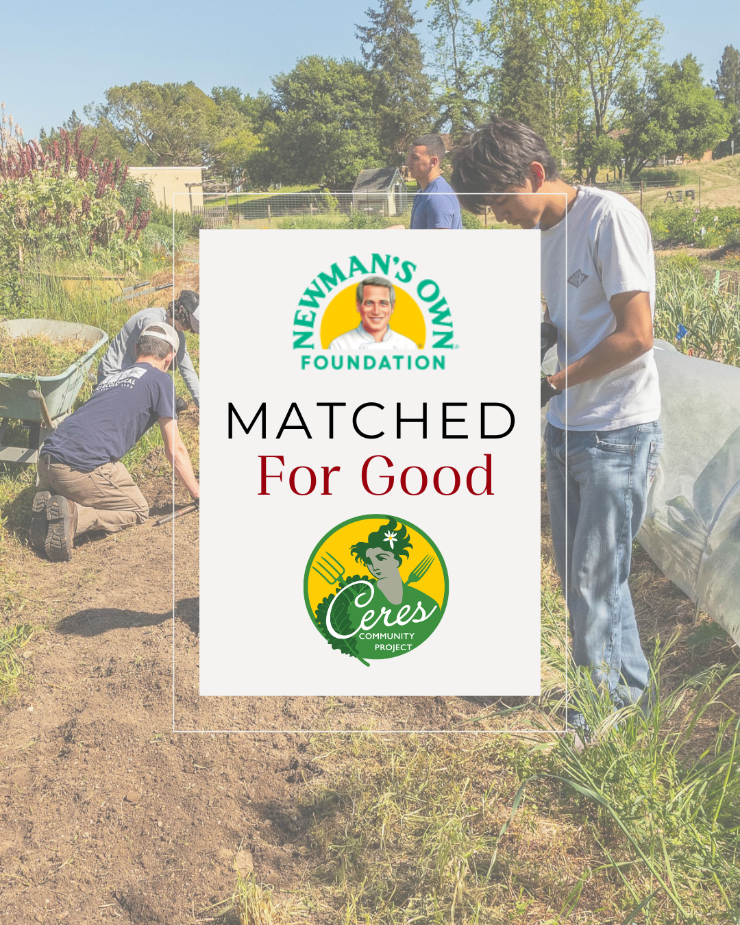 Matched for Good: Local Giving Doubles the Impact for Ceres Community Project