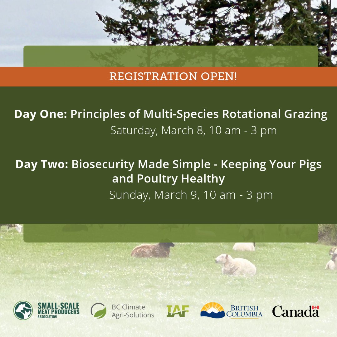 Salt Spring Island Workshops