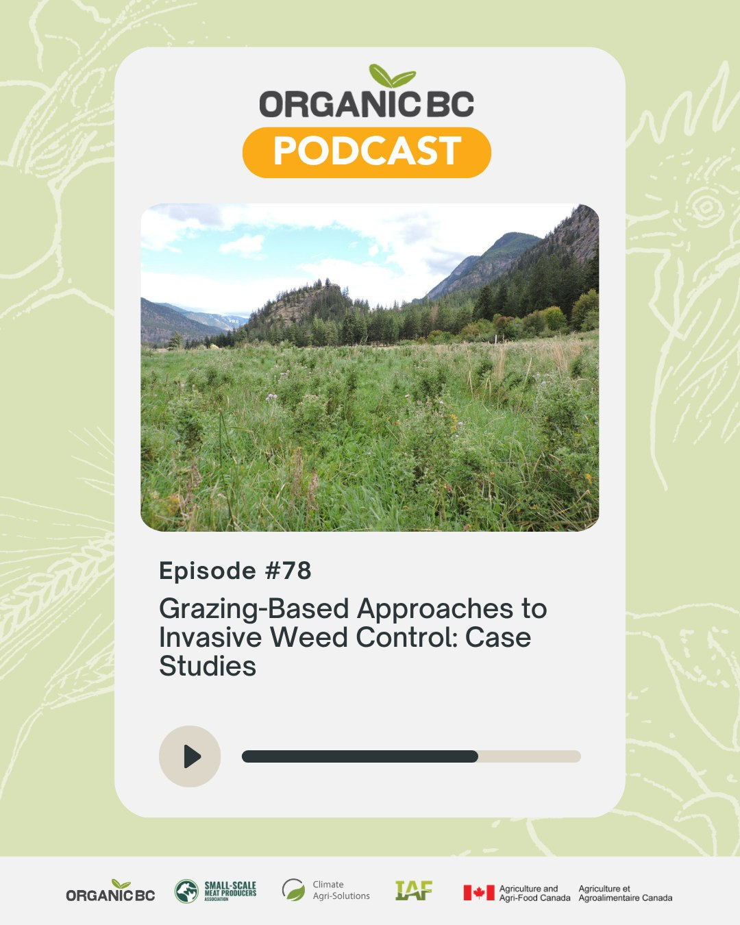 Managed Grazing for Weed Control - Part 2: The Case Studies.