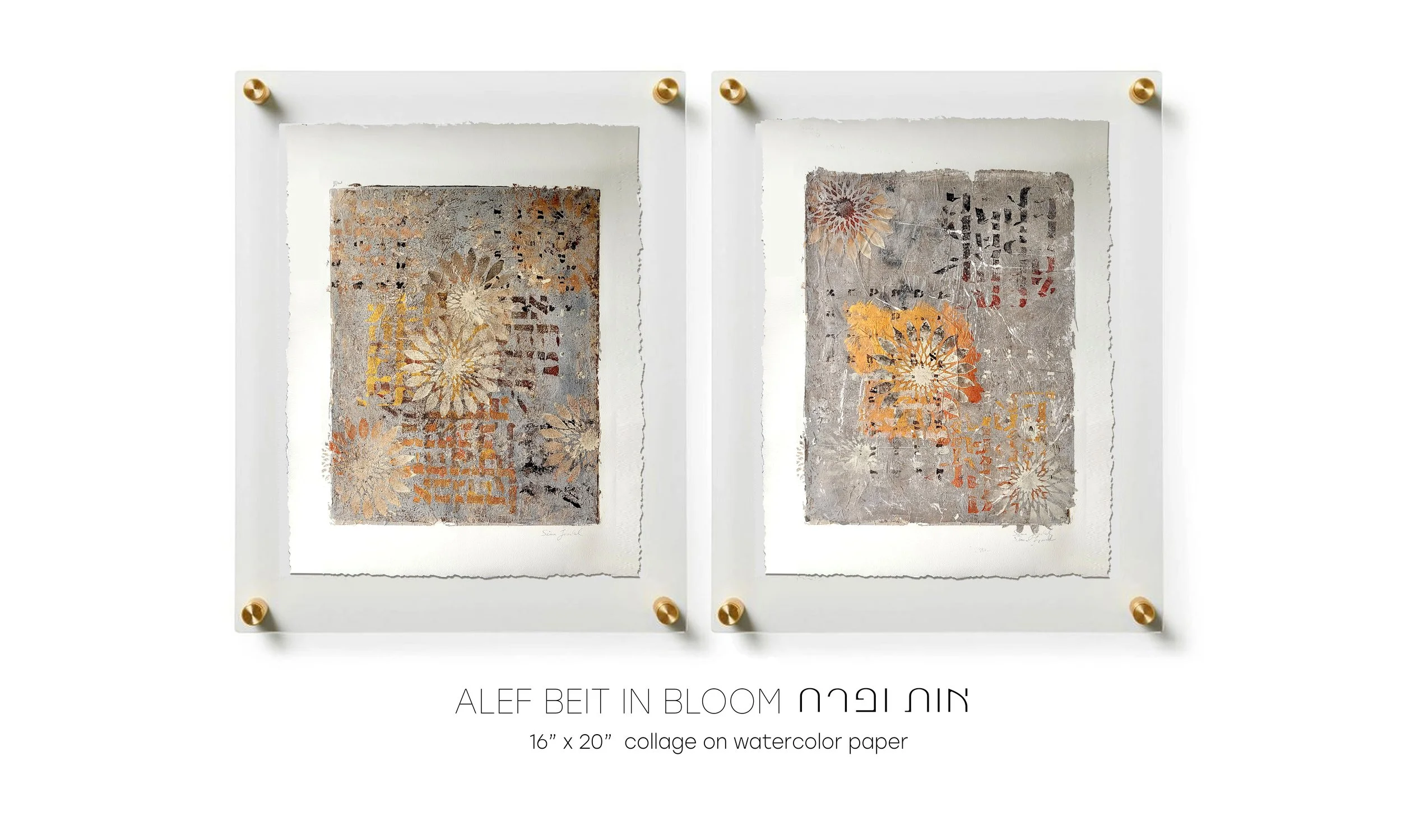 25 Alef Beis in bloom duo.jpg