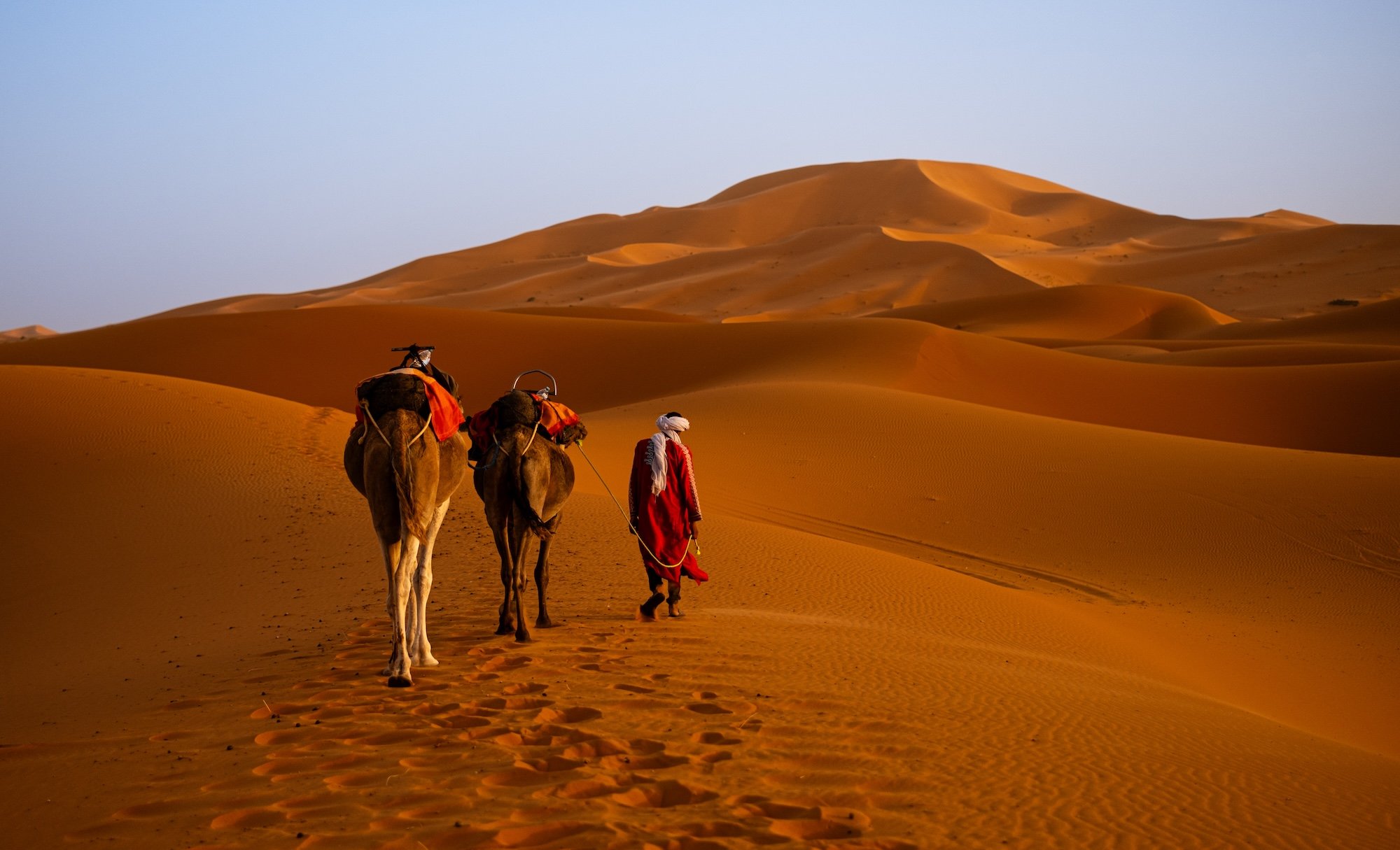 Back from the Sahara: What we learned