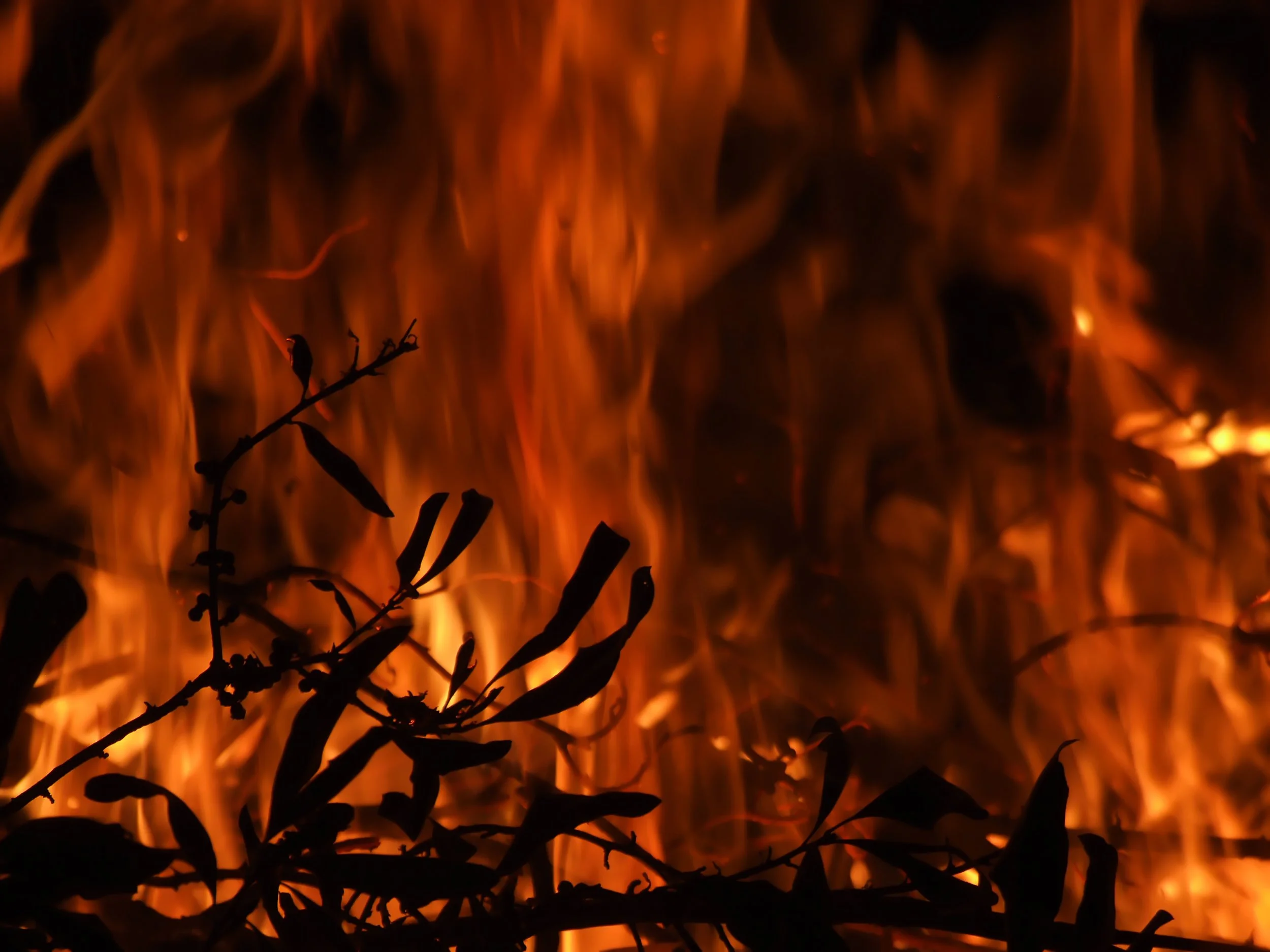 Burn Ban In Effect