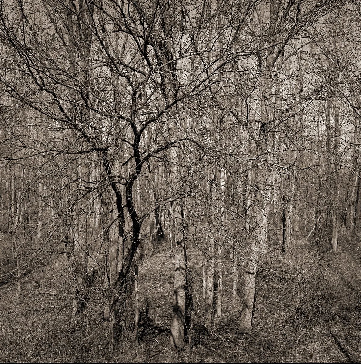 Haldimand County, Ontario