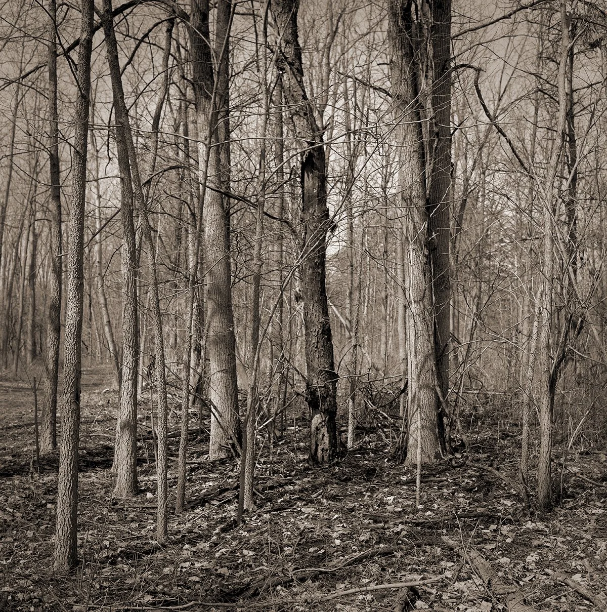 Haldimand County, Ontario