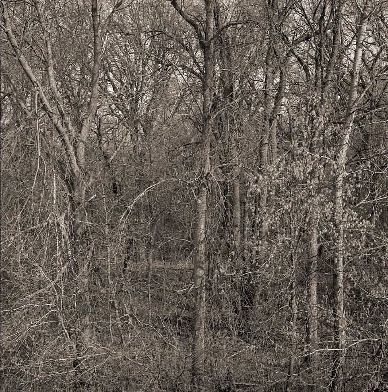 Haldimand County, Ontario