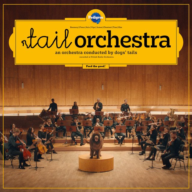 tail orchestra hero.jpeg
