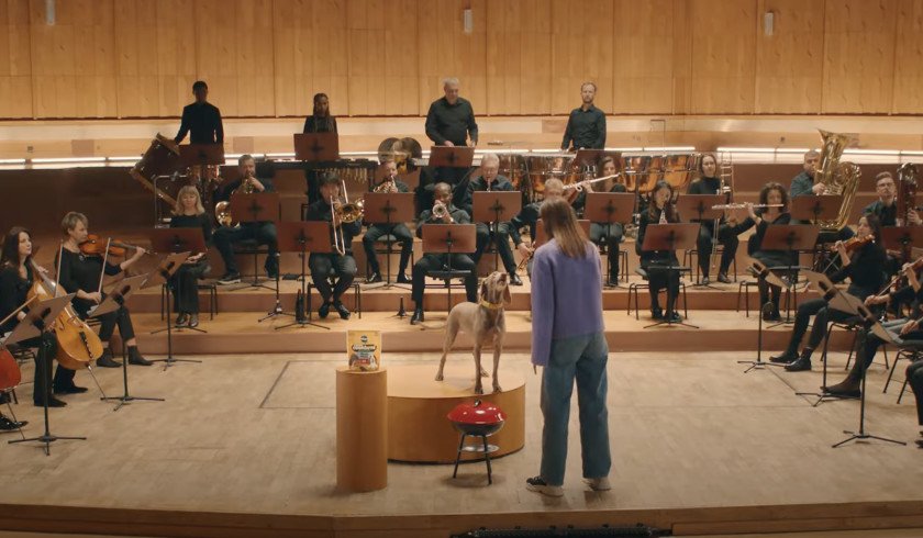 pedigree-tail-orchestra-details.jpeg