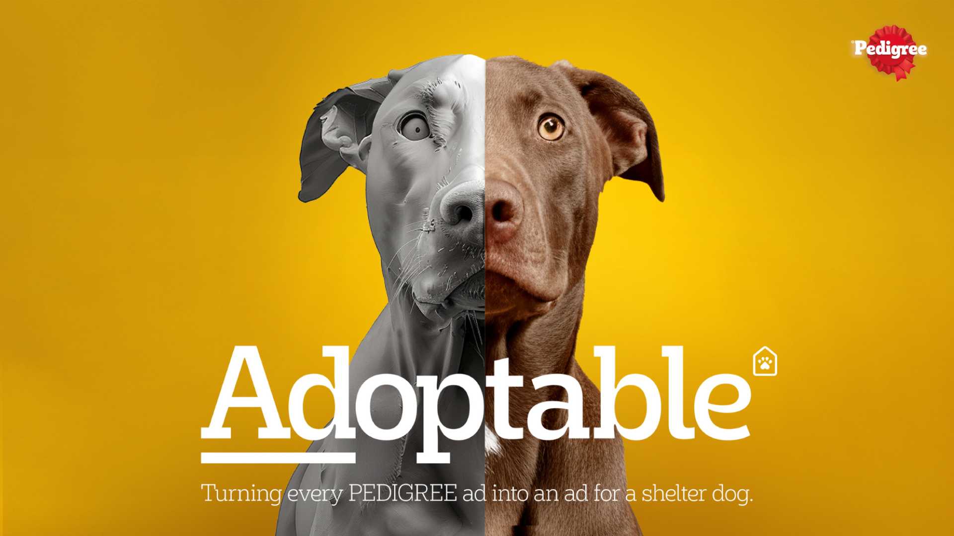 adoptable-info-slide.png