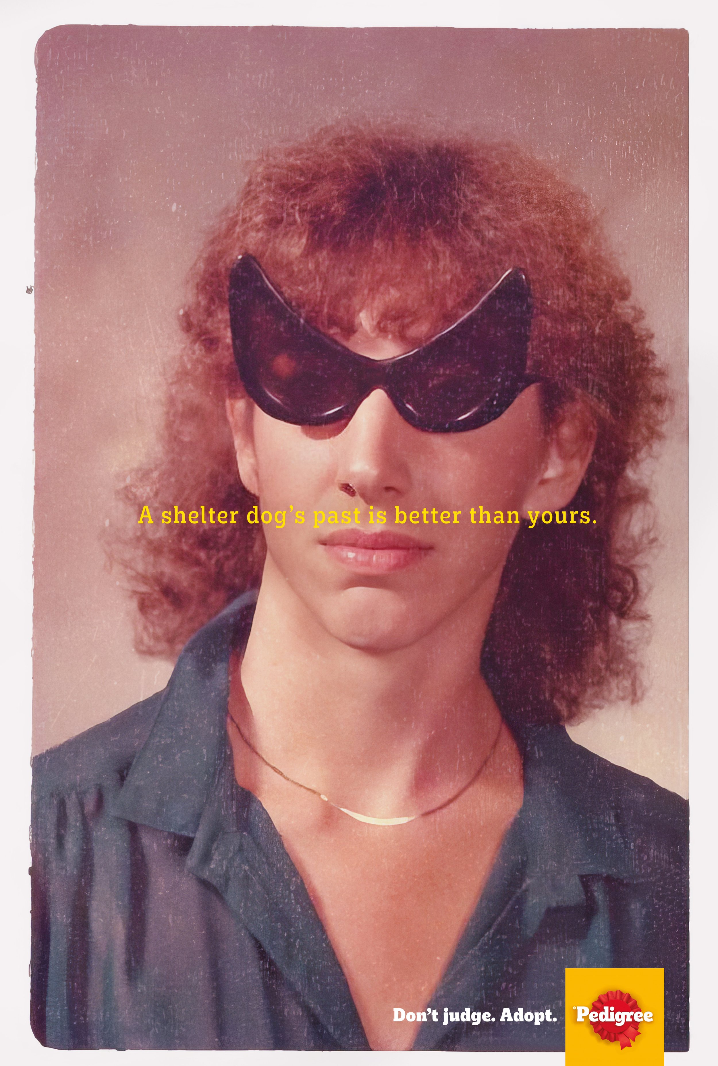 Colenso BBDO_Pedigre Don't judge, Adopt_Glasses_OUTDOOR.jpg