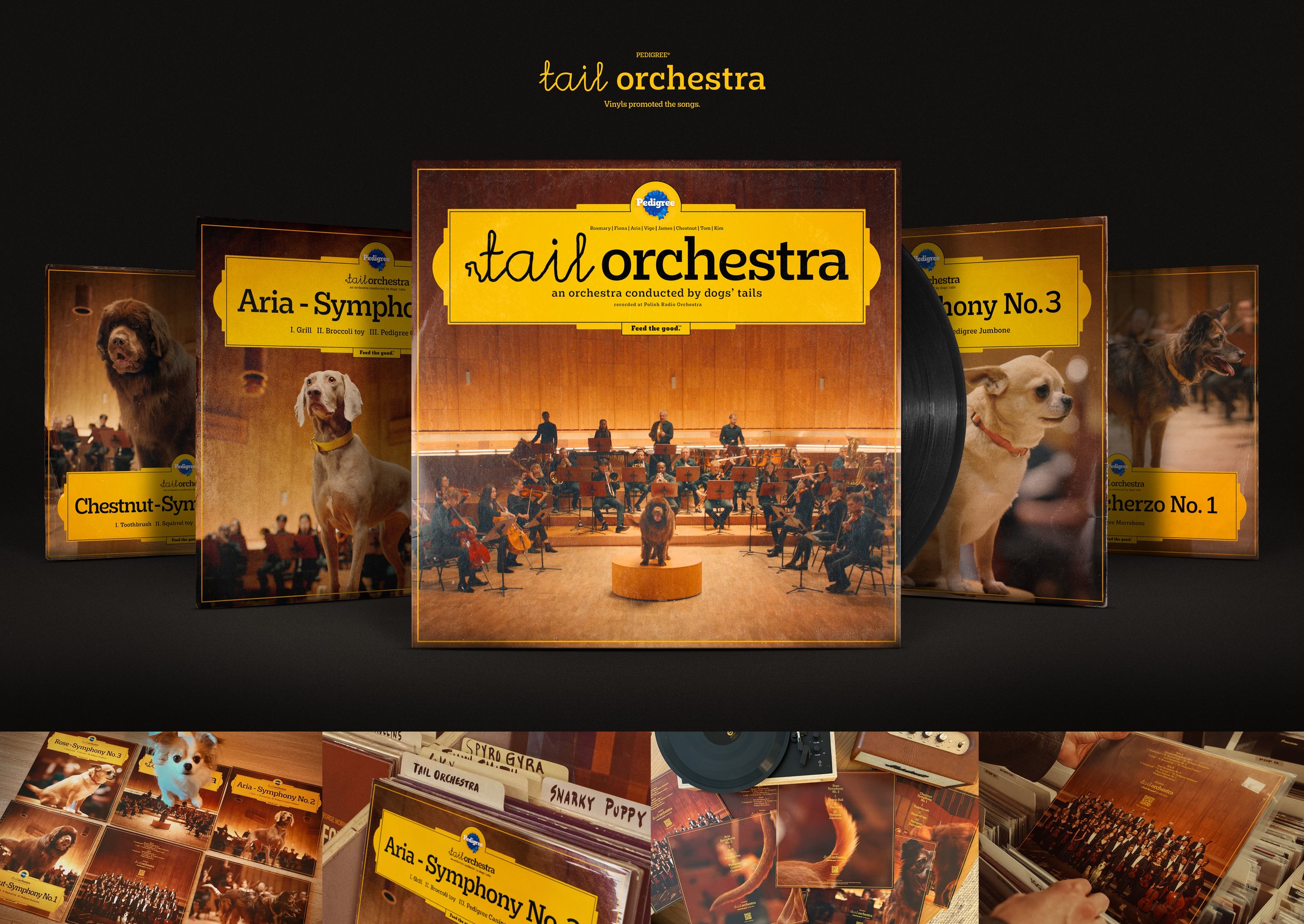02PedigreeTailOrchestra_BoardCannes_SupportVinyl.jpg